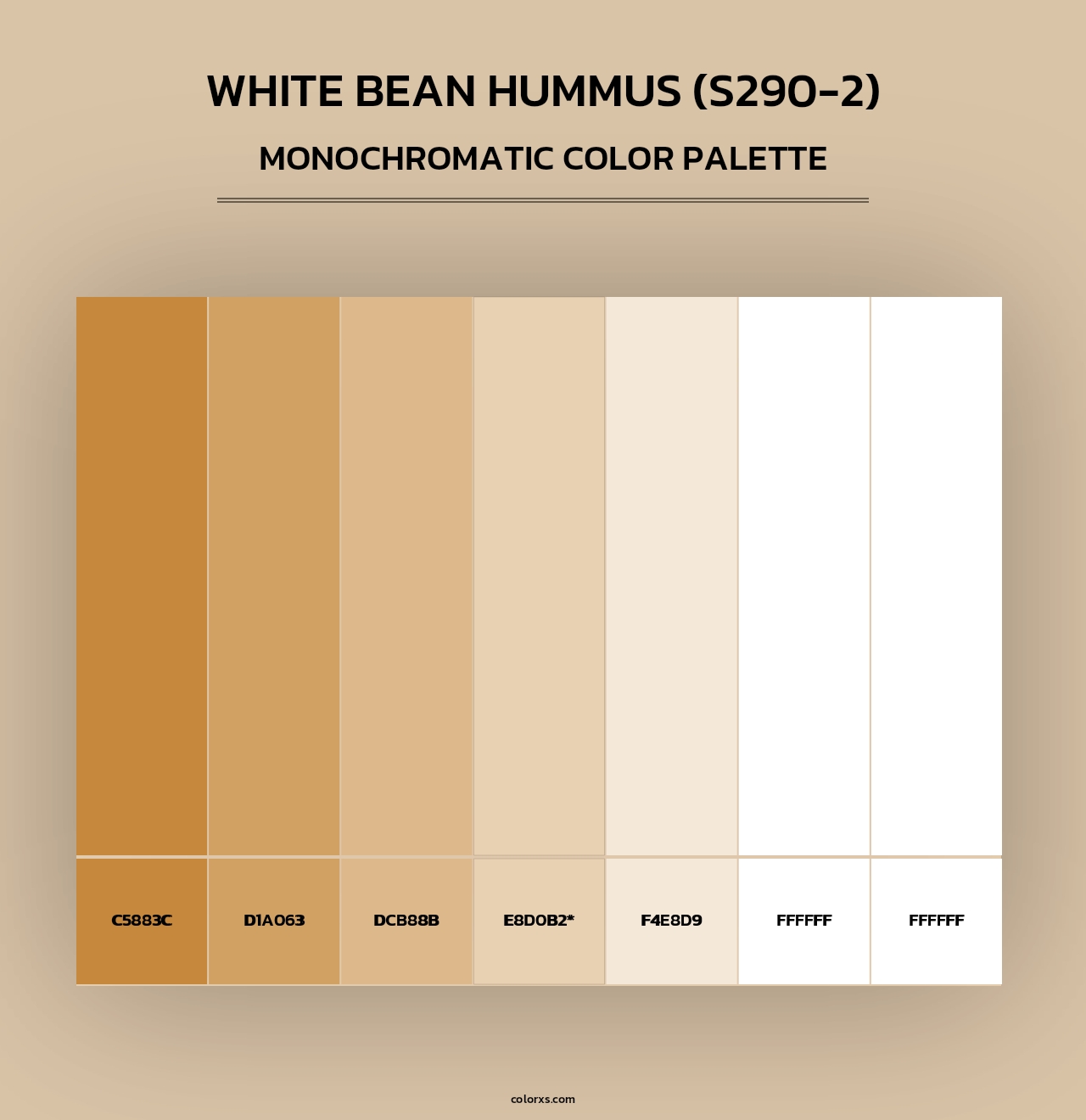White Bean Hummus (S290-2) - Monochromatic Color Palette