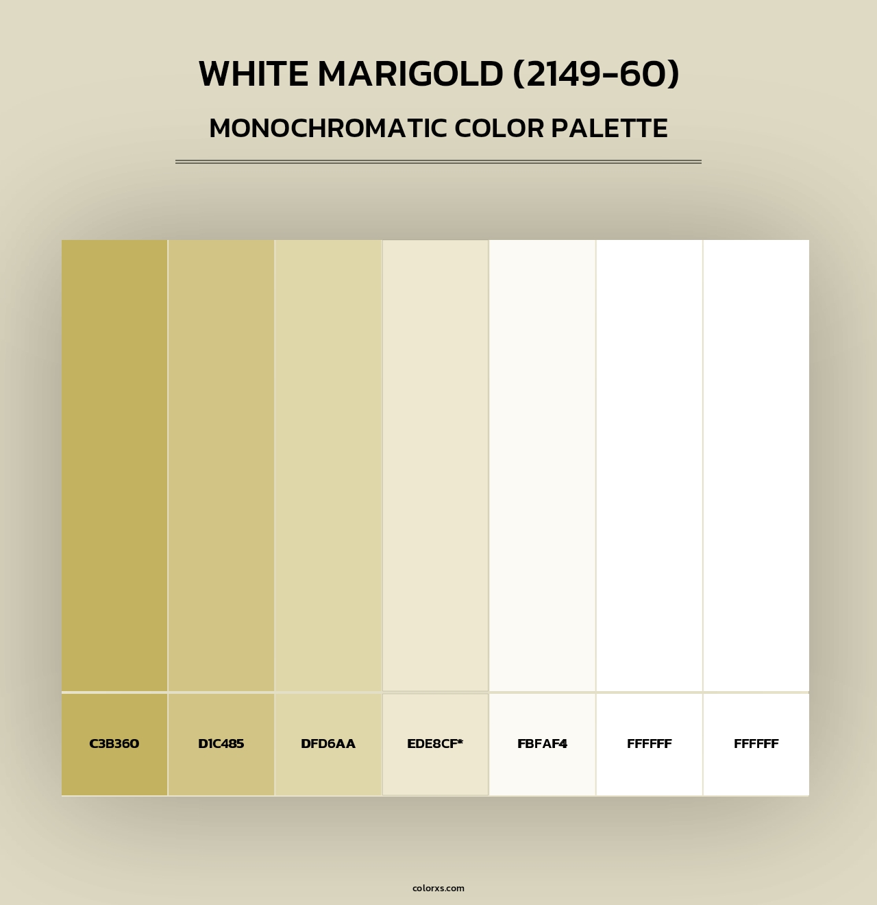 White Marigold (2149-60) - Monochromatic Color Palette