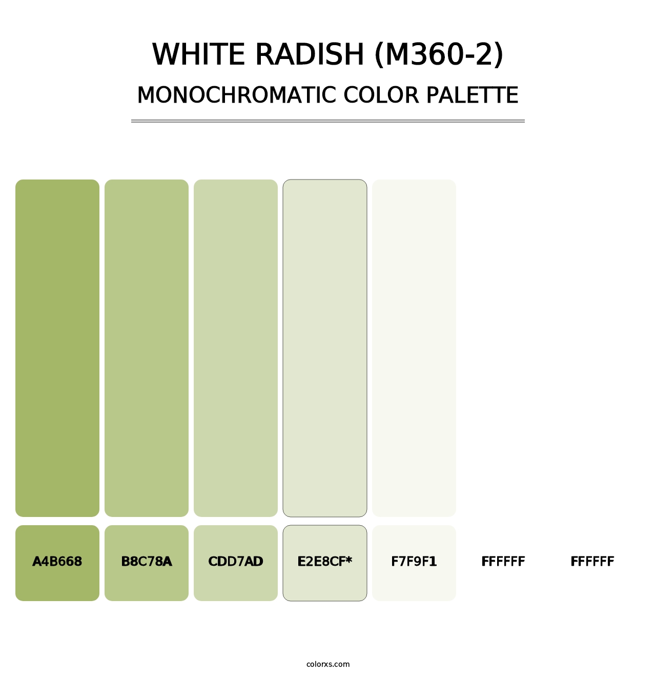 White Radish (M360-2) - Monochromatic Color Palette