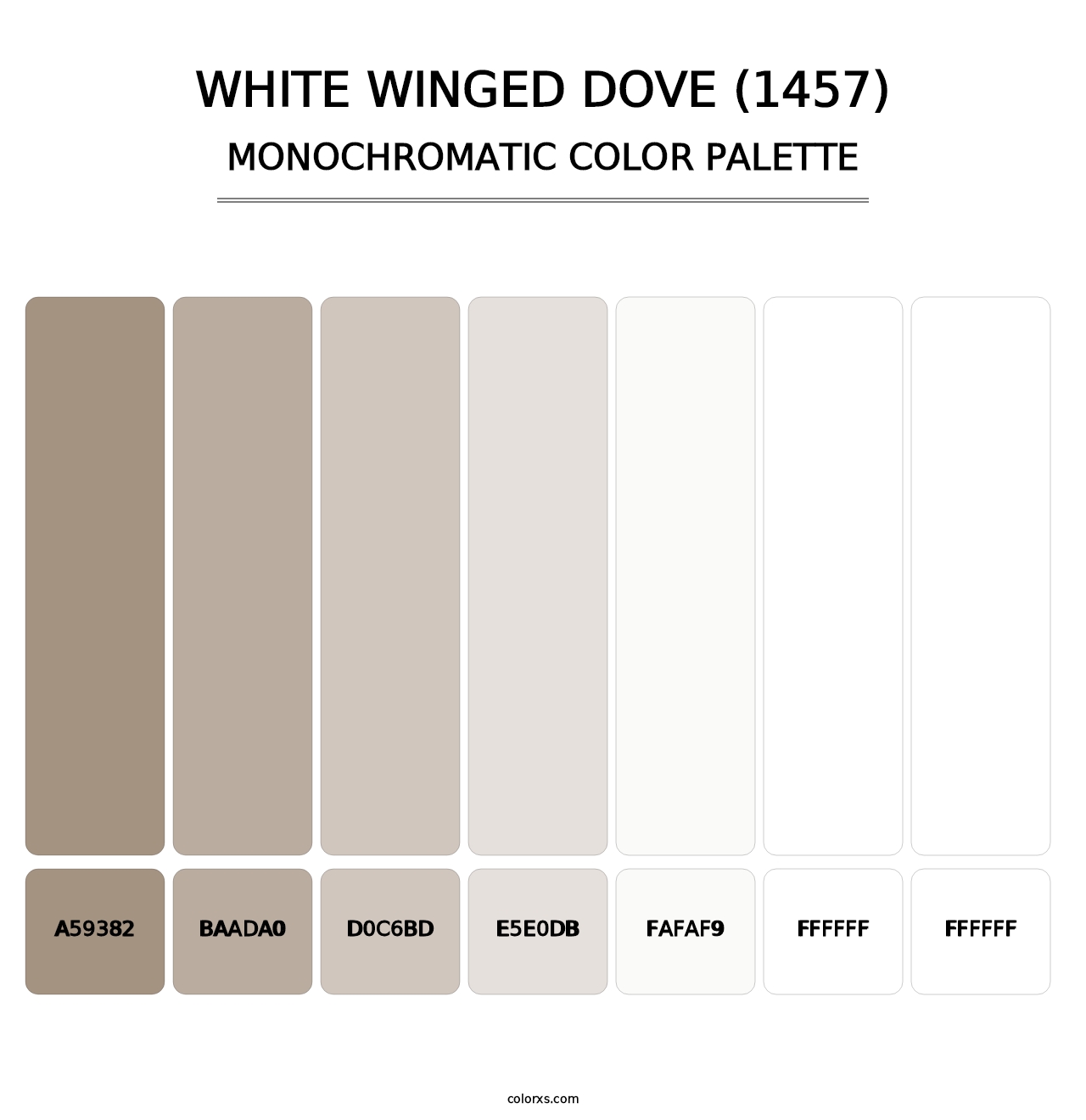 White Winged Dove (1457) - Monochromatic Color Palette