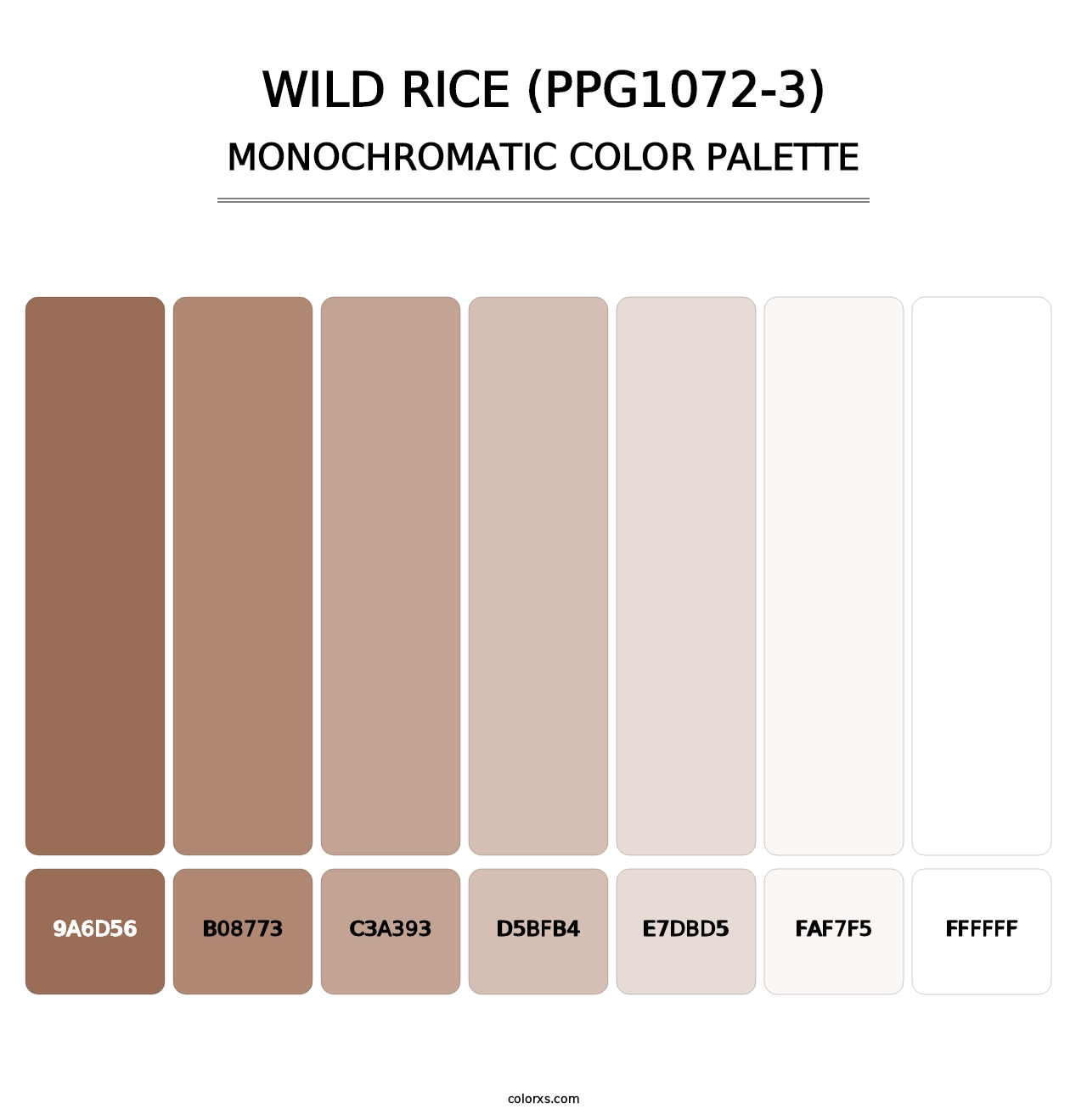 Wild Rice (PPG1072-3) - Monochromatic Color Palette