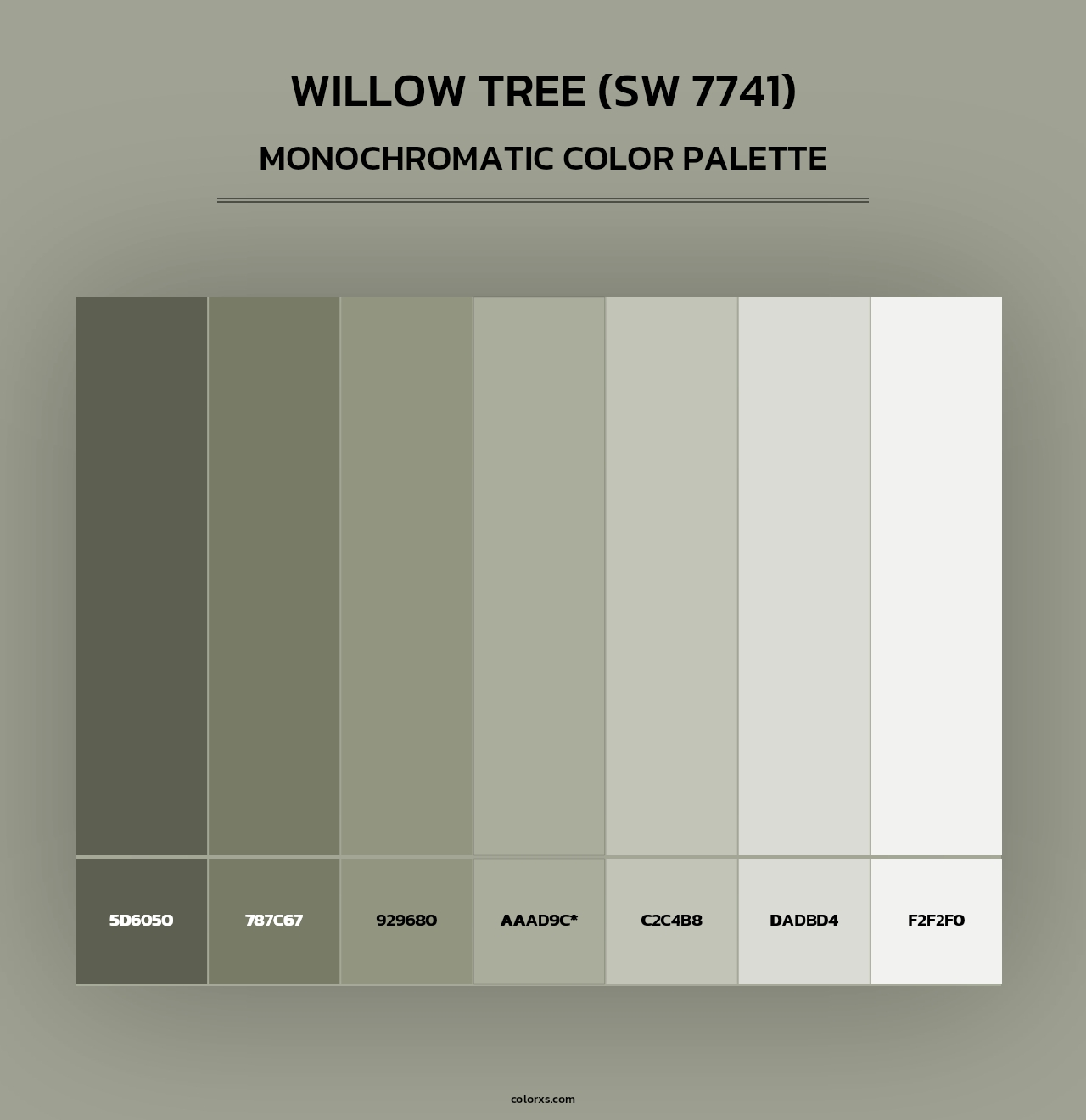Willow Tree (SW 7741) - Monochromatic Color Palette