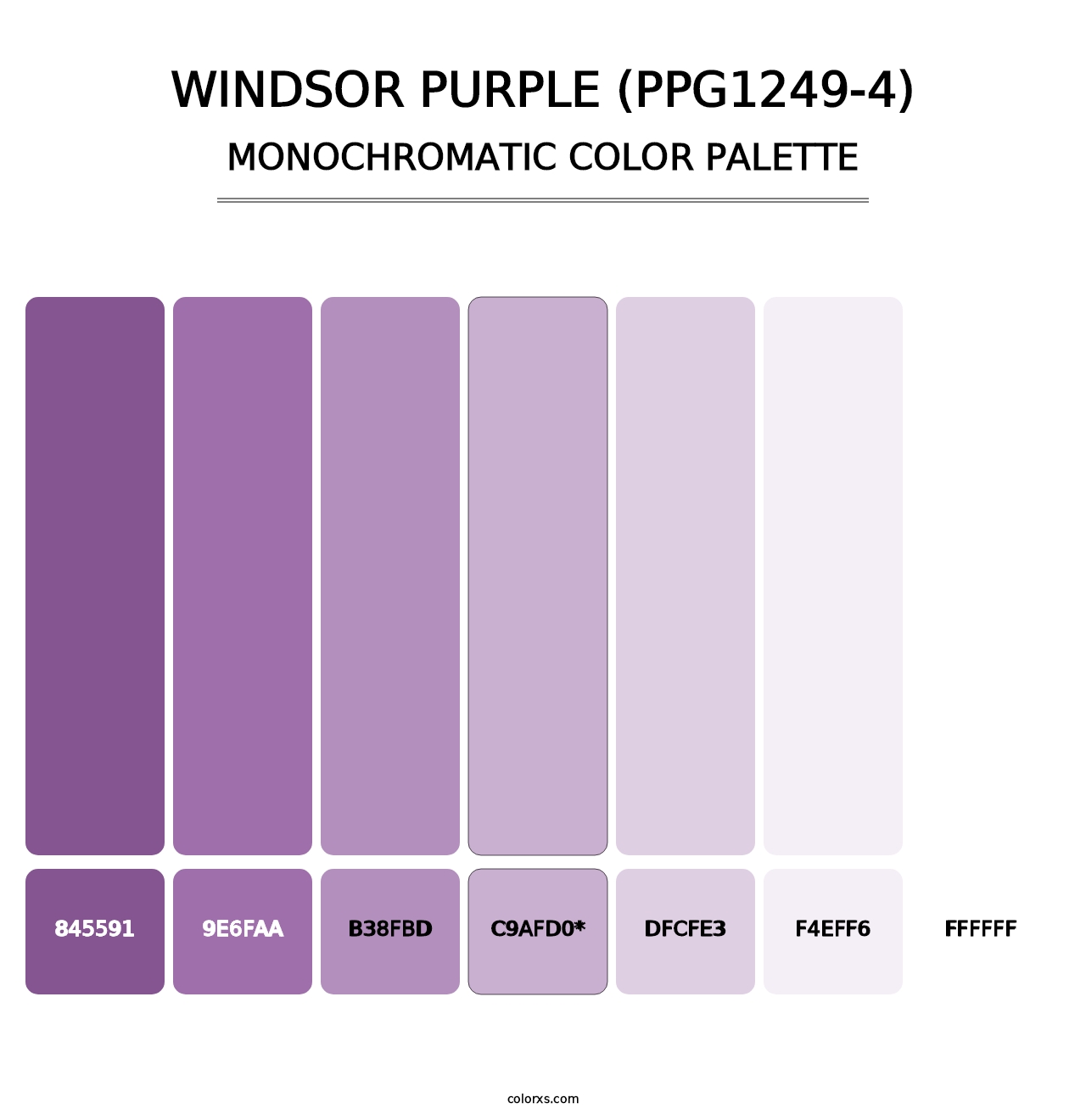 Windsor Purple (PPG1249-4) - Monochromatic Color Palette