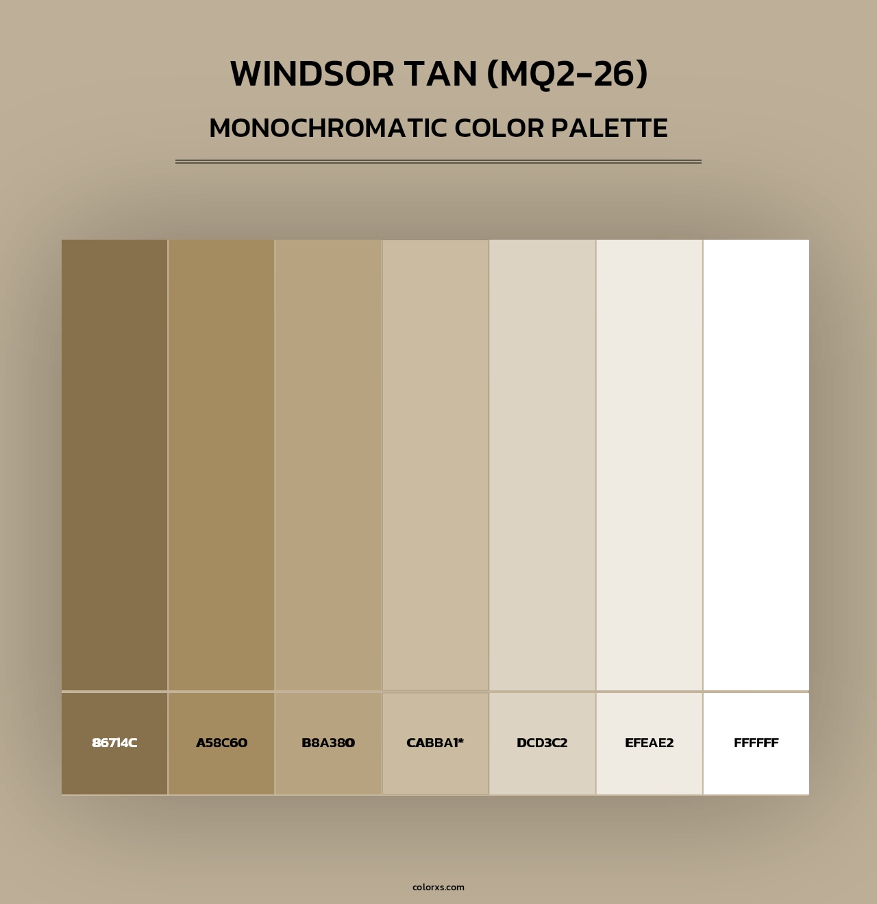 Windsor Tan (MQ2-26) - Monochromatic Color Palette