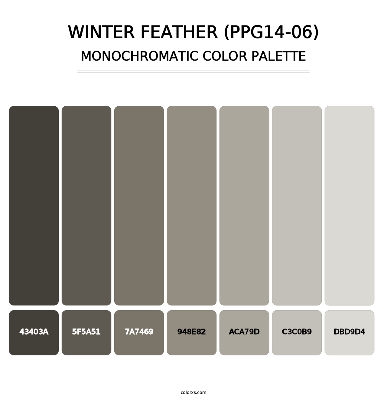 Winter Feather (PPG14-06) - Monochromatic Color Palette