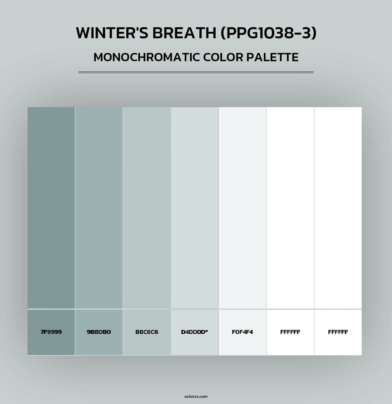 Winter's Breath (PPG1038-3) - Monochromatic Color Palette