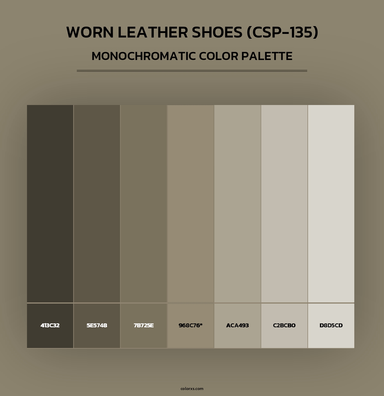 Worn Leather Shoes (CSP-135) - Monochromatic Color Palette