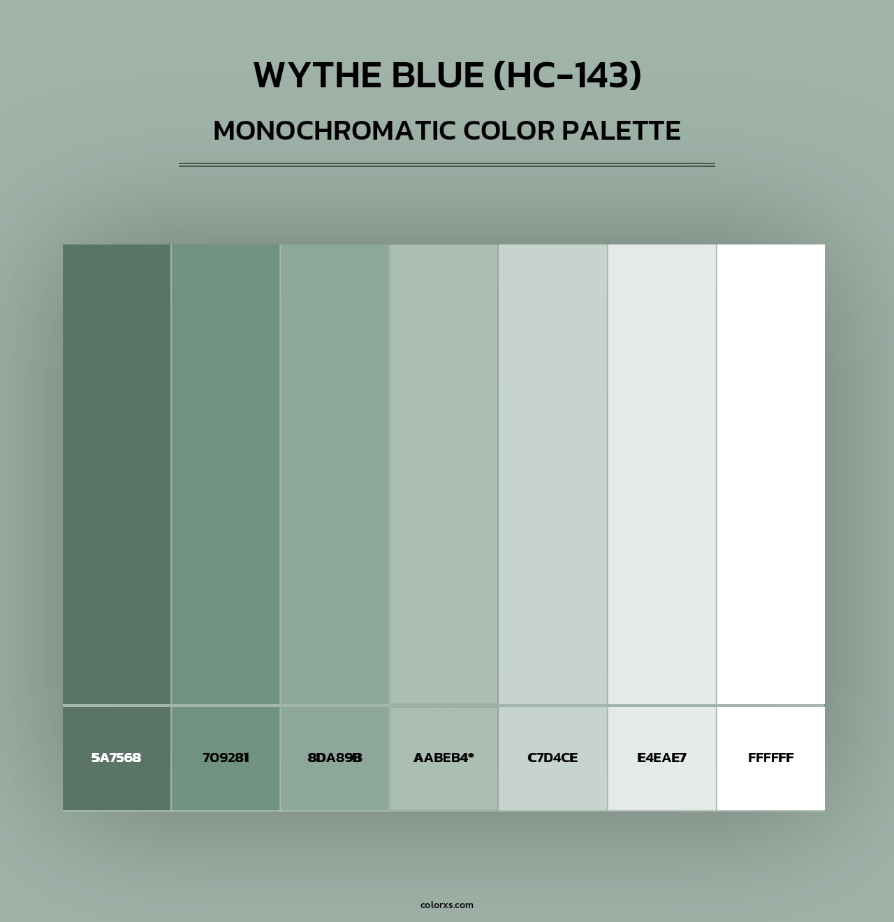 Wythe Blue (HC-143) - Monochromatic Color Palette