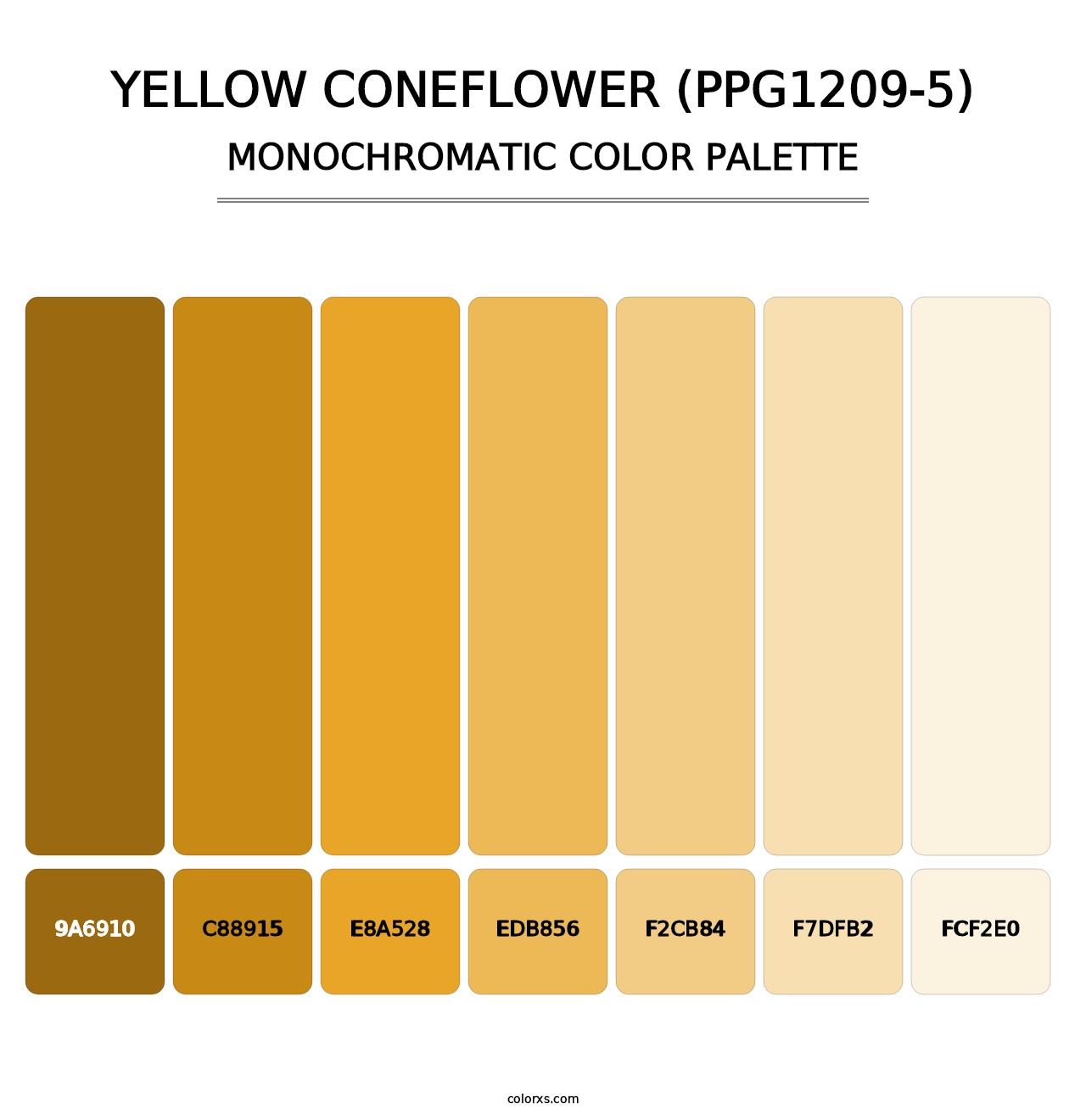 Yellow Coneflower (PPG1209-5) - Monochromatic Color Palette