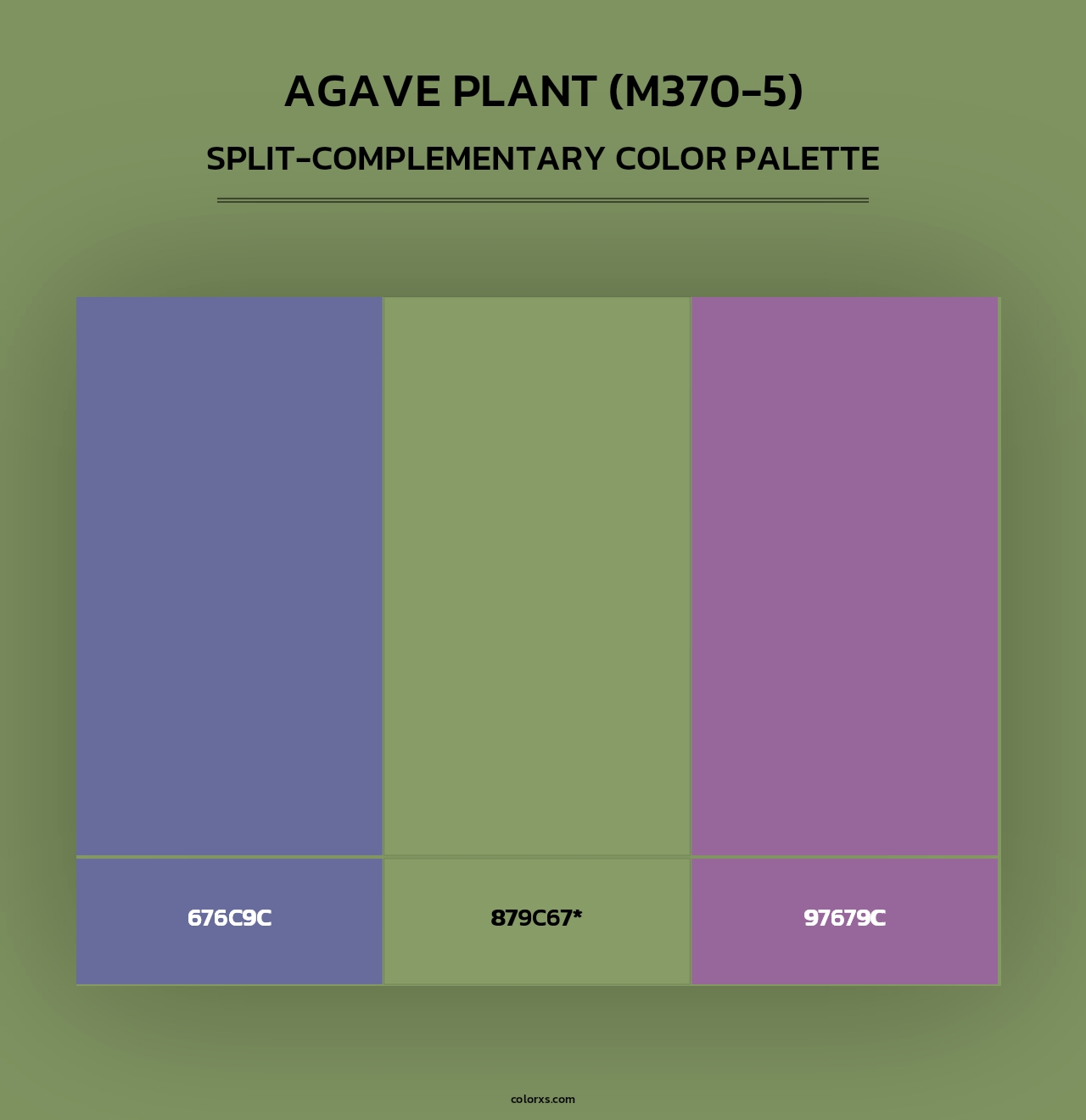 Agave Plant (M370-5) - Split-Complementary Color Palette