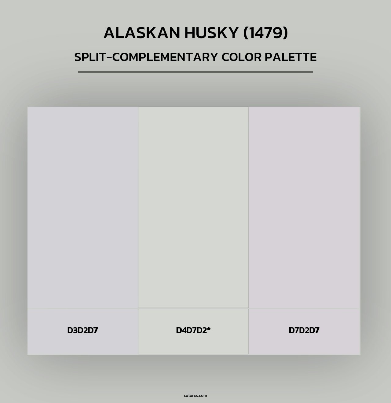 Alaskan Husky (1479) - Split-Complementary Color Palette