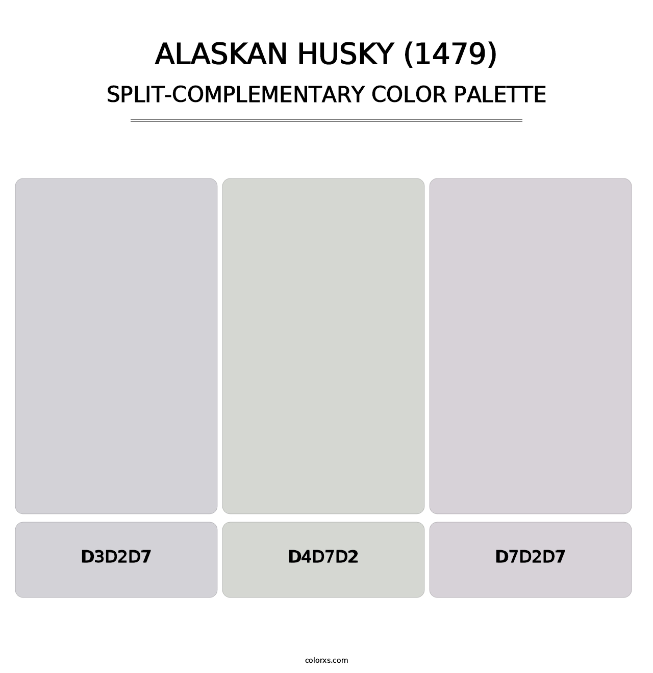 Alaskan Husky (1479) - Split-Complementary Color Palette