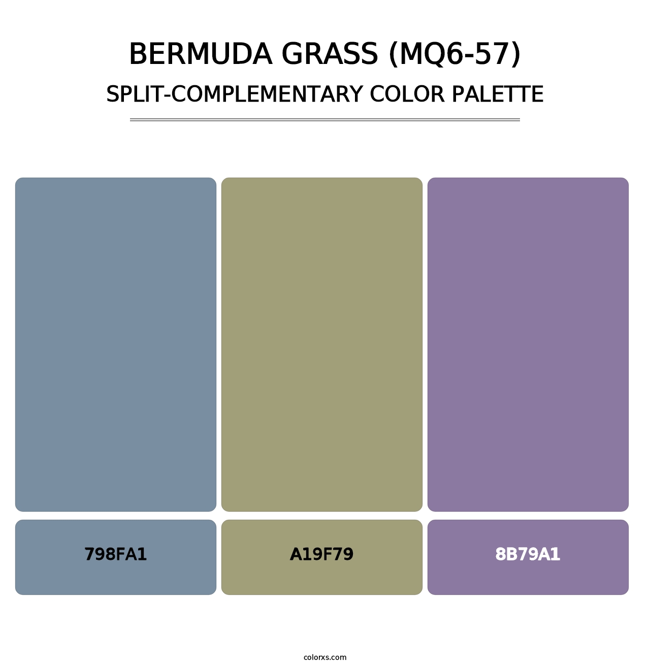 Bermuda Grass (MQ6-57) - Split-Complementary Color Palette
