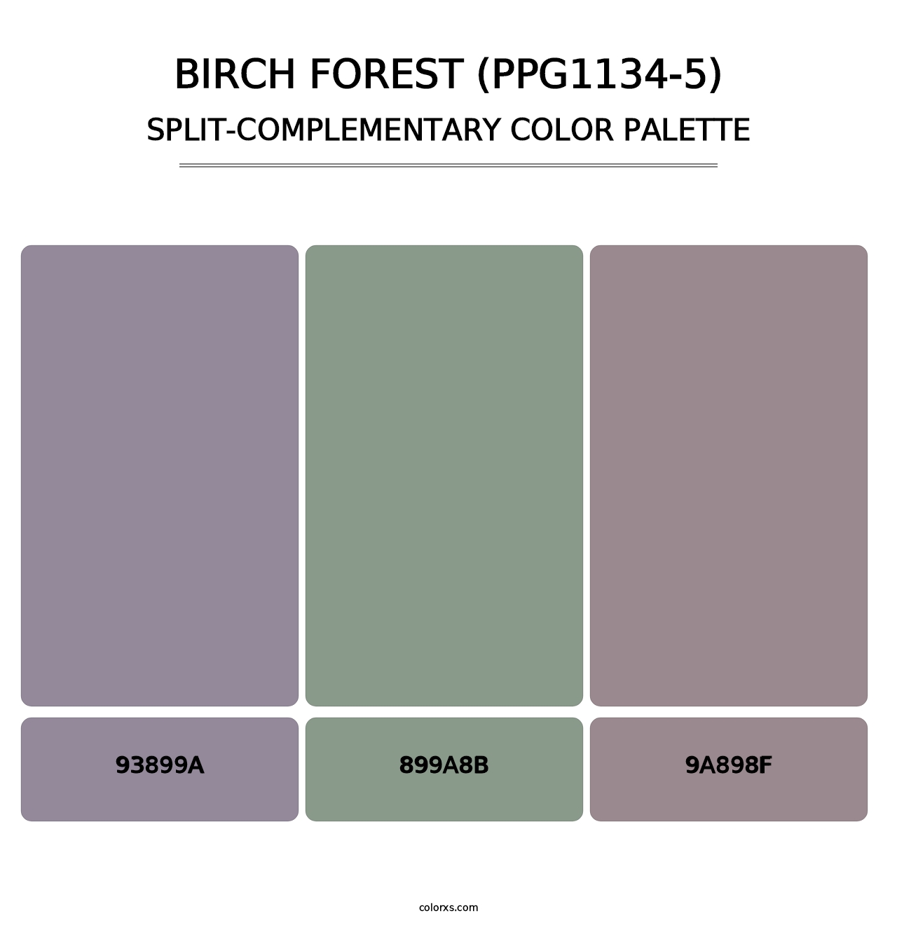 Birch Forest (PPG1134-5) - Split-Complementary Color Palette