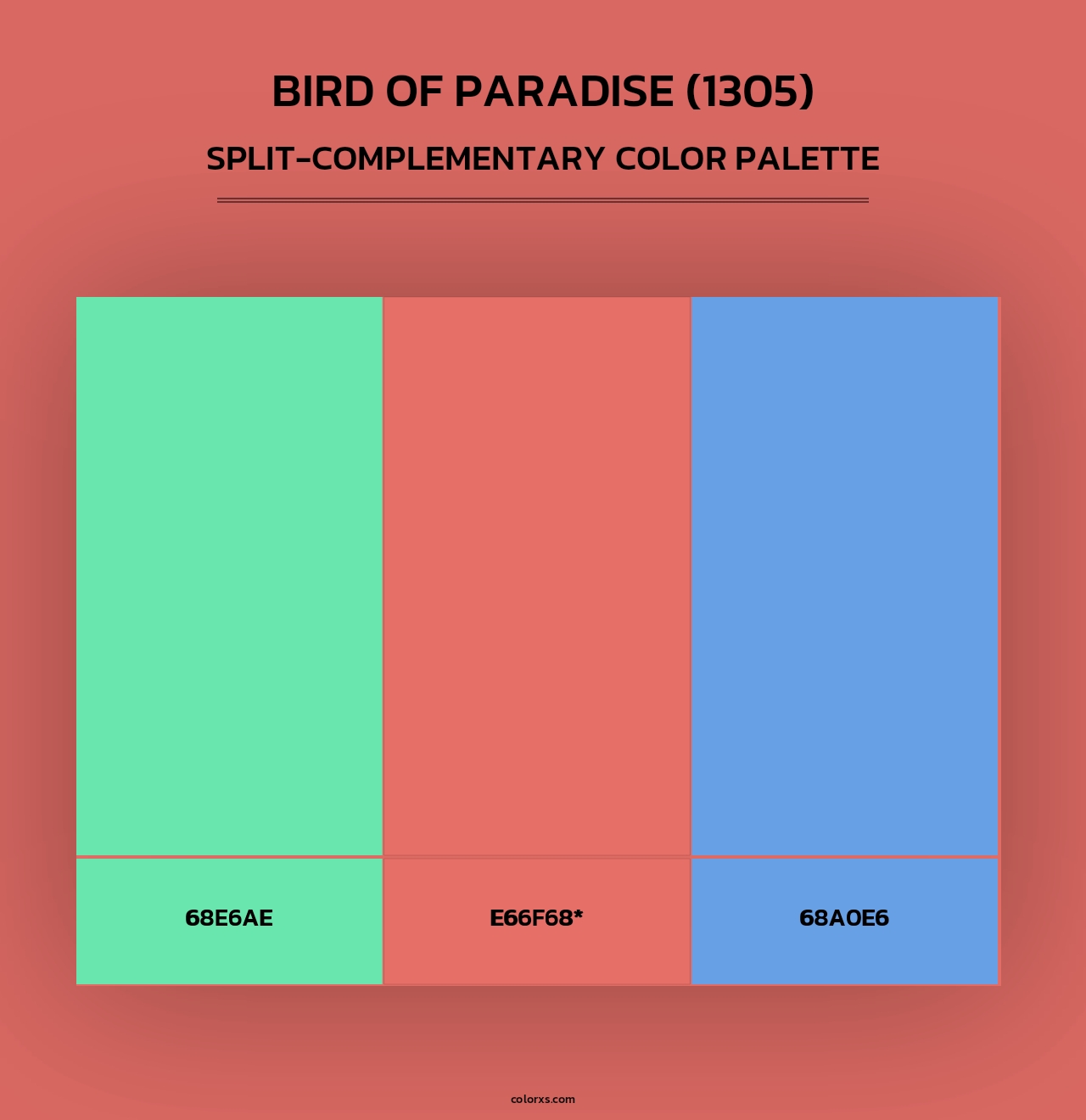 Bird of Paradise (1305) - Split-Complementary Color Palette