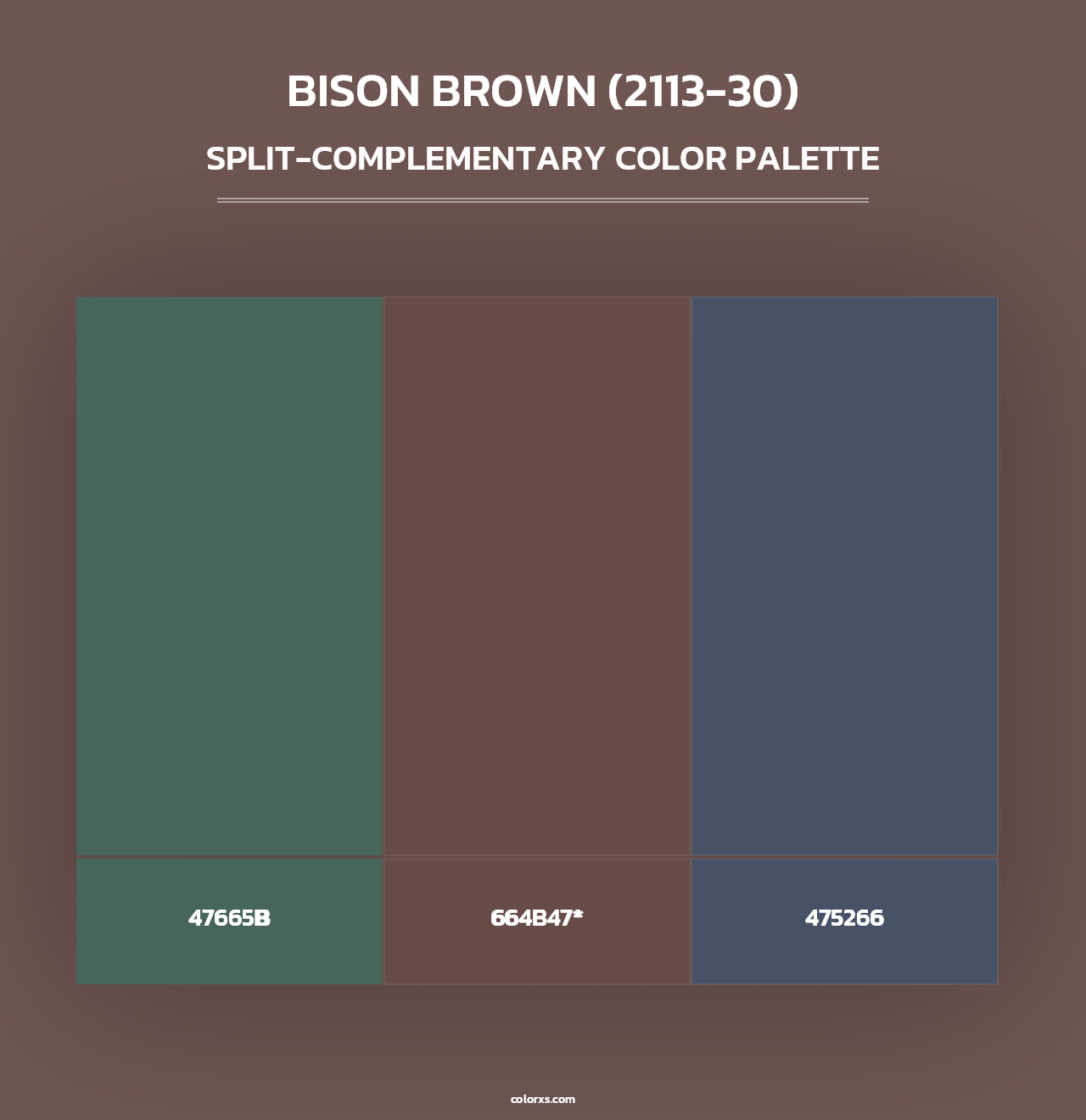 Bison Brown (2113-30) - Split-Complementary Color Palette