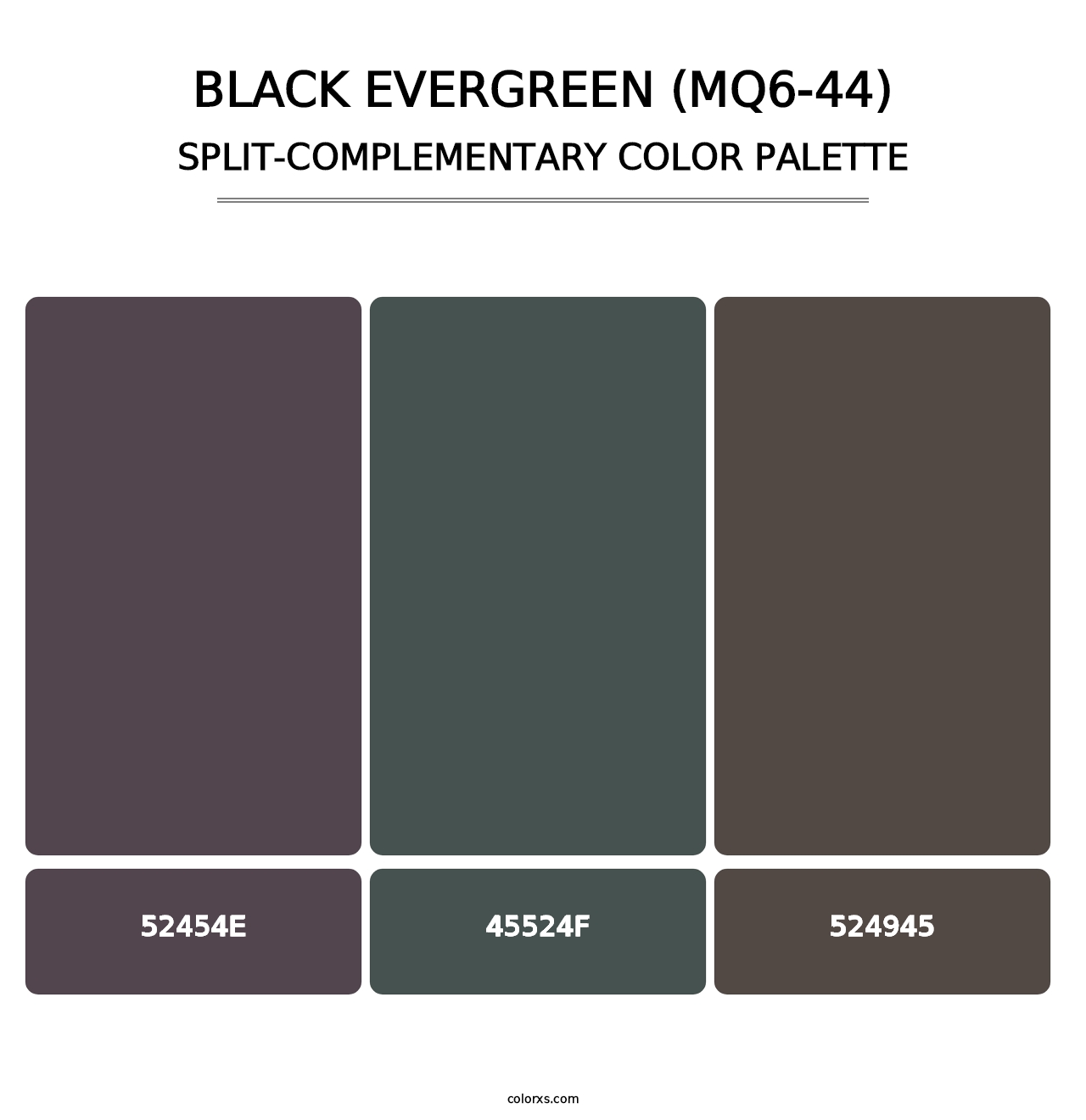 Black Evergreen (MQ6-44) - Split-Complementary Color Palette