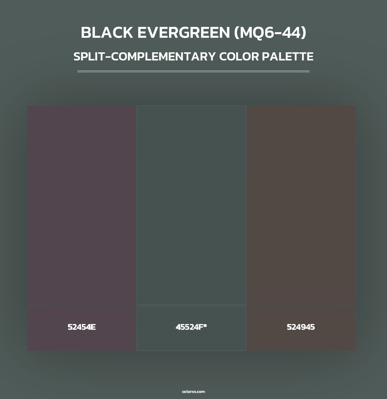 Black Evergreen (MQ6-44) - Split-Complementary Color Palette