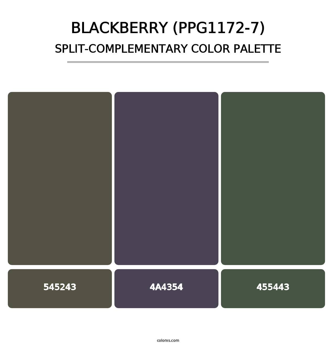 Blackberry (PPG1172-7) - Split-Complementary Color Palette