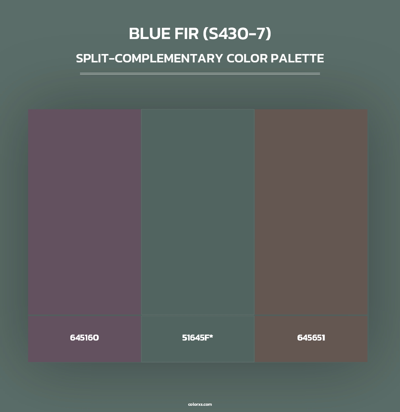 Blue Fir (S430-7) - Split-Complementary Color Palette