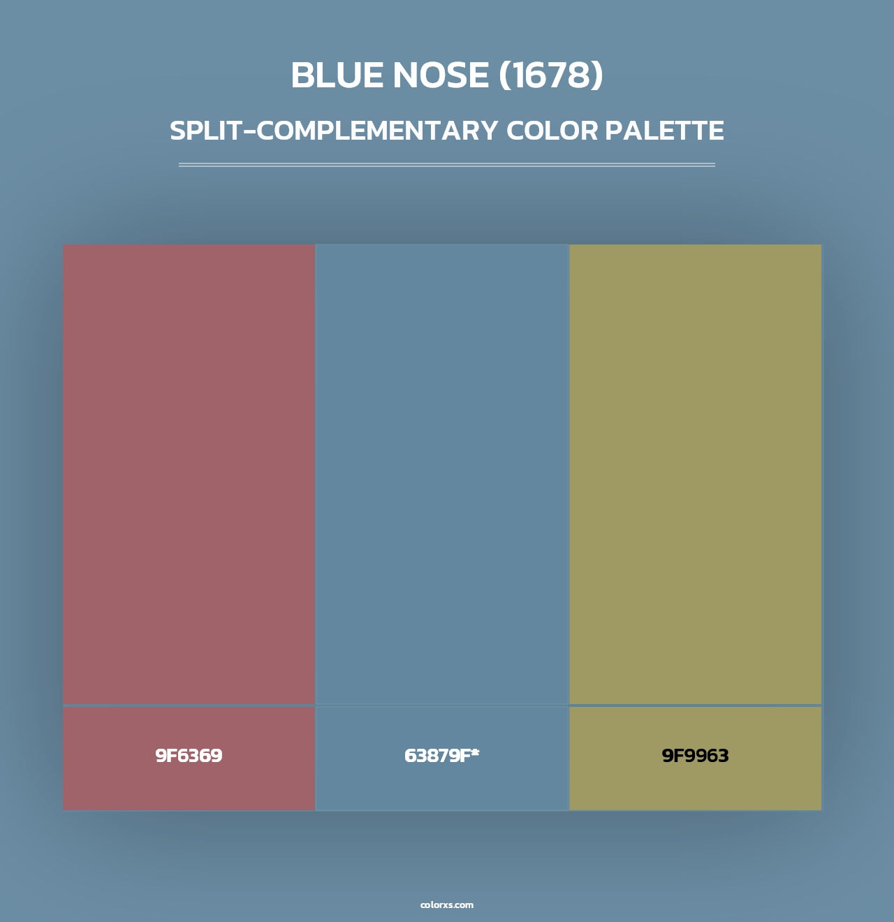 Blue Nose (1678) - Split-Complementary Color Palette