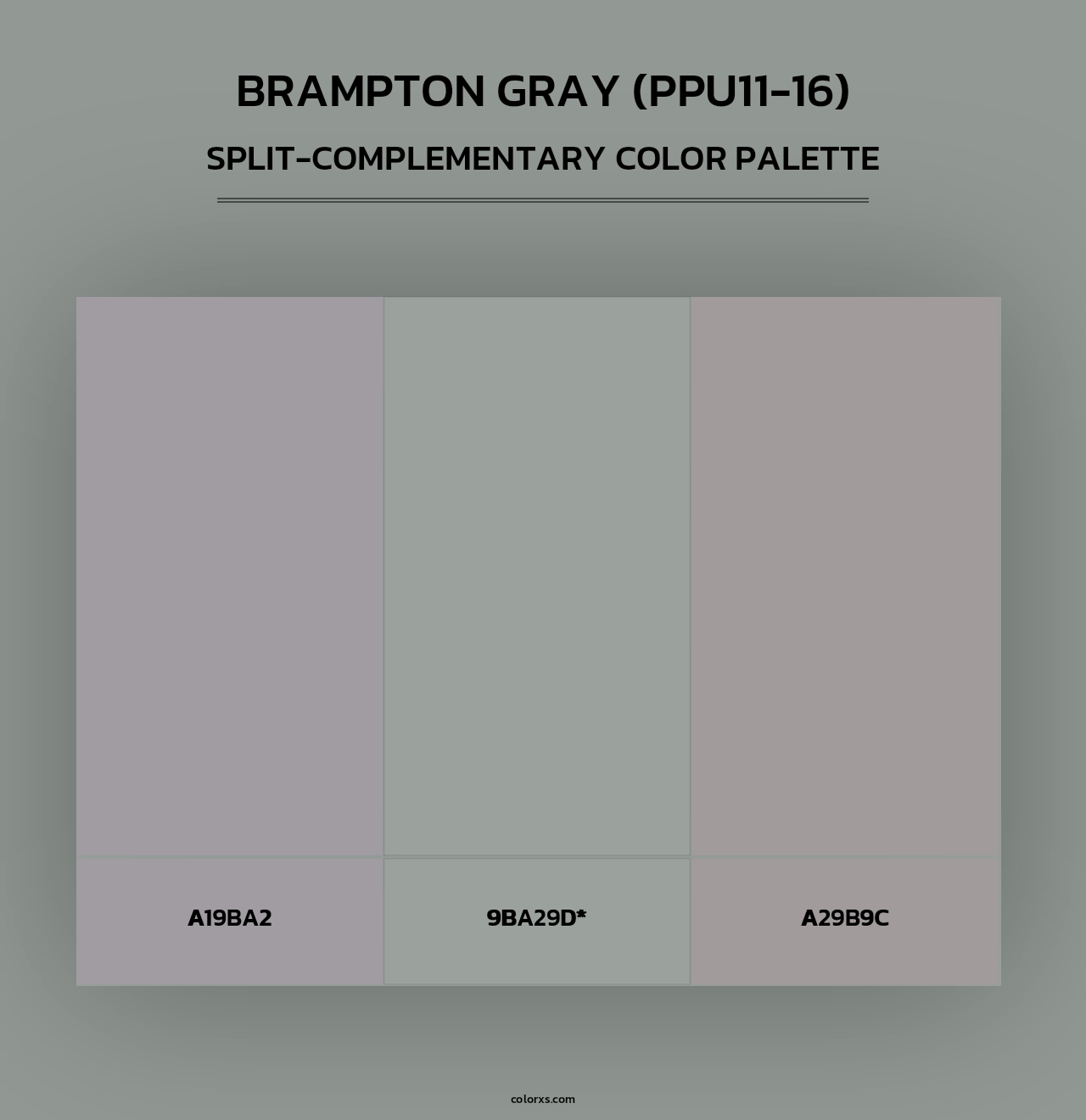 Brampton Gray (PPU11-16) - Split-Complementary Color Palette