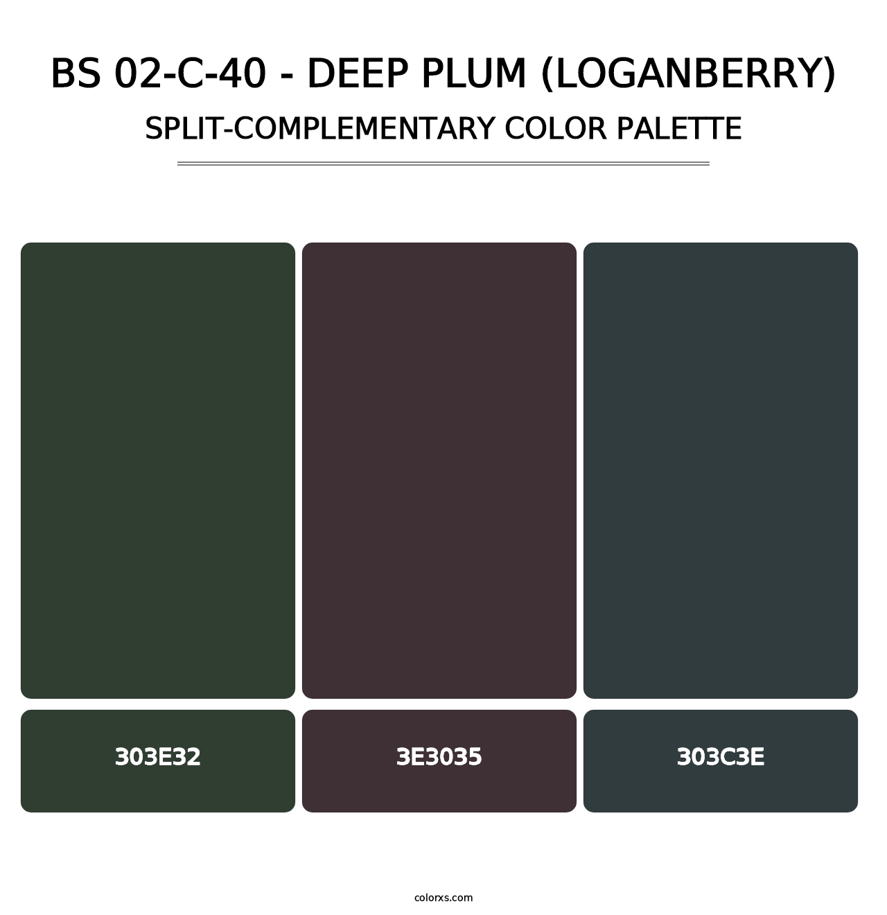 BS 02-C-40 - Deep Plum (Loganberry) - Split-Complementary Color Palette