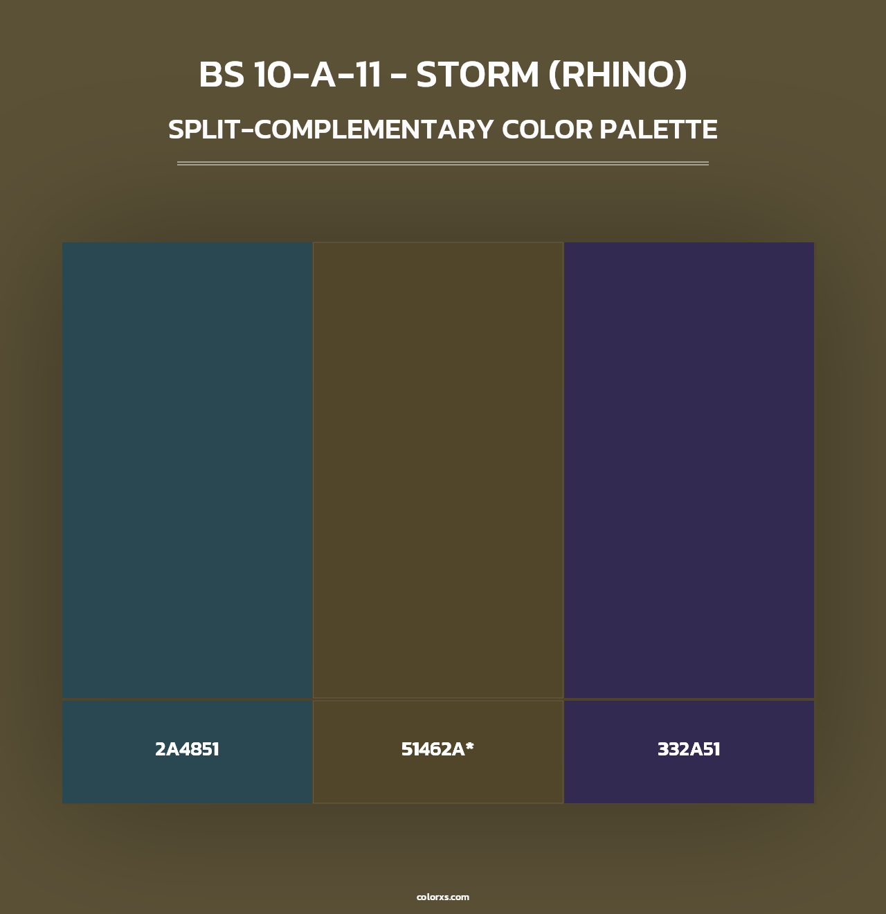 BS 10-A-11 - Storm (Rhino) - Split-Complementary Color Palette
