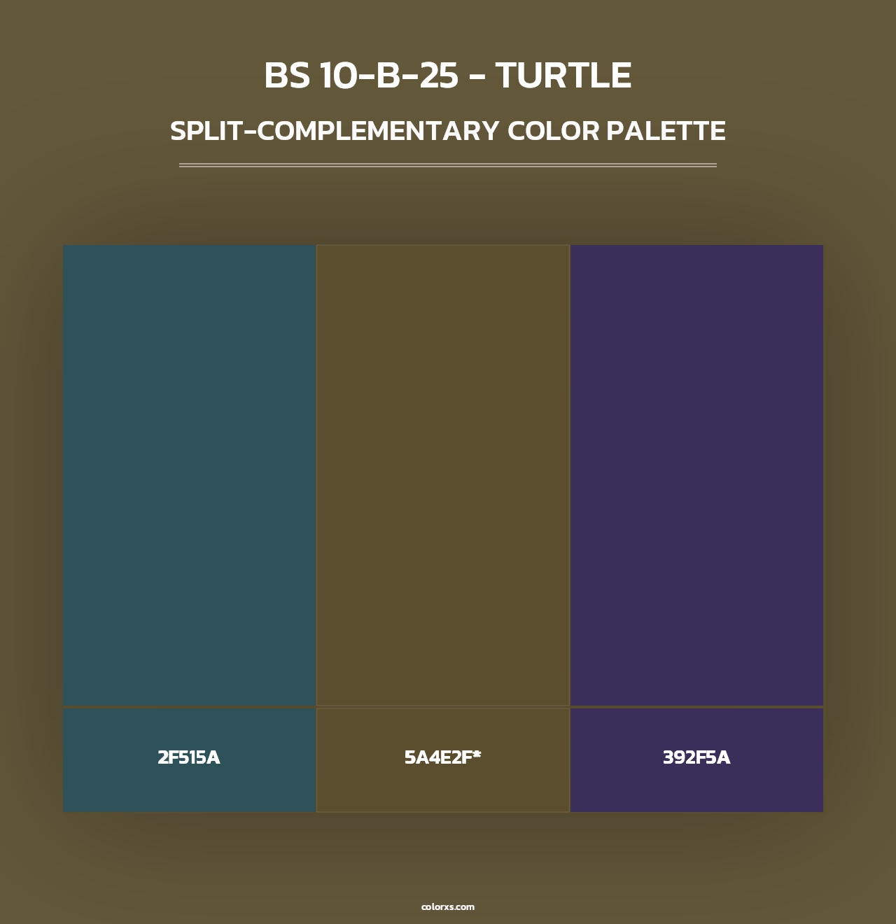BS 10-B-25 - Turtle - Split-Complementary Color Palette