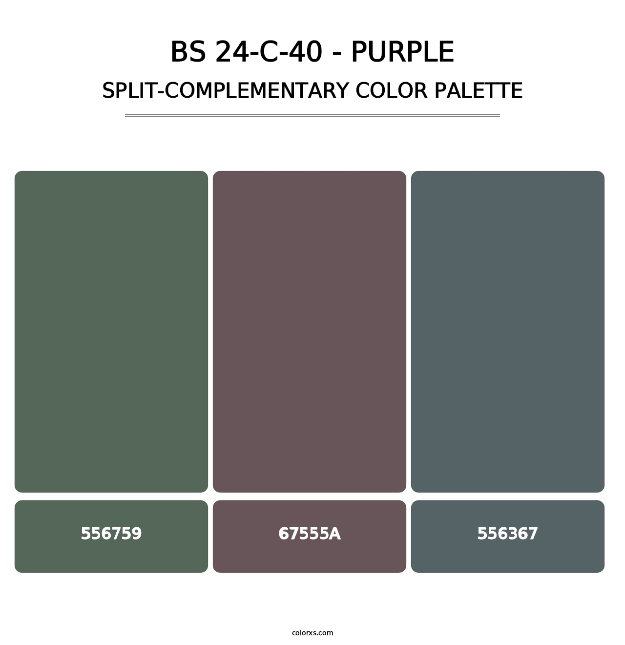 BS 24-C-40 - Purple - Split-Complementary Color Palette