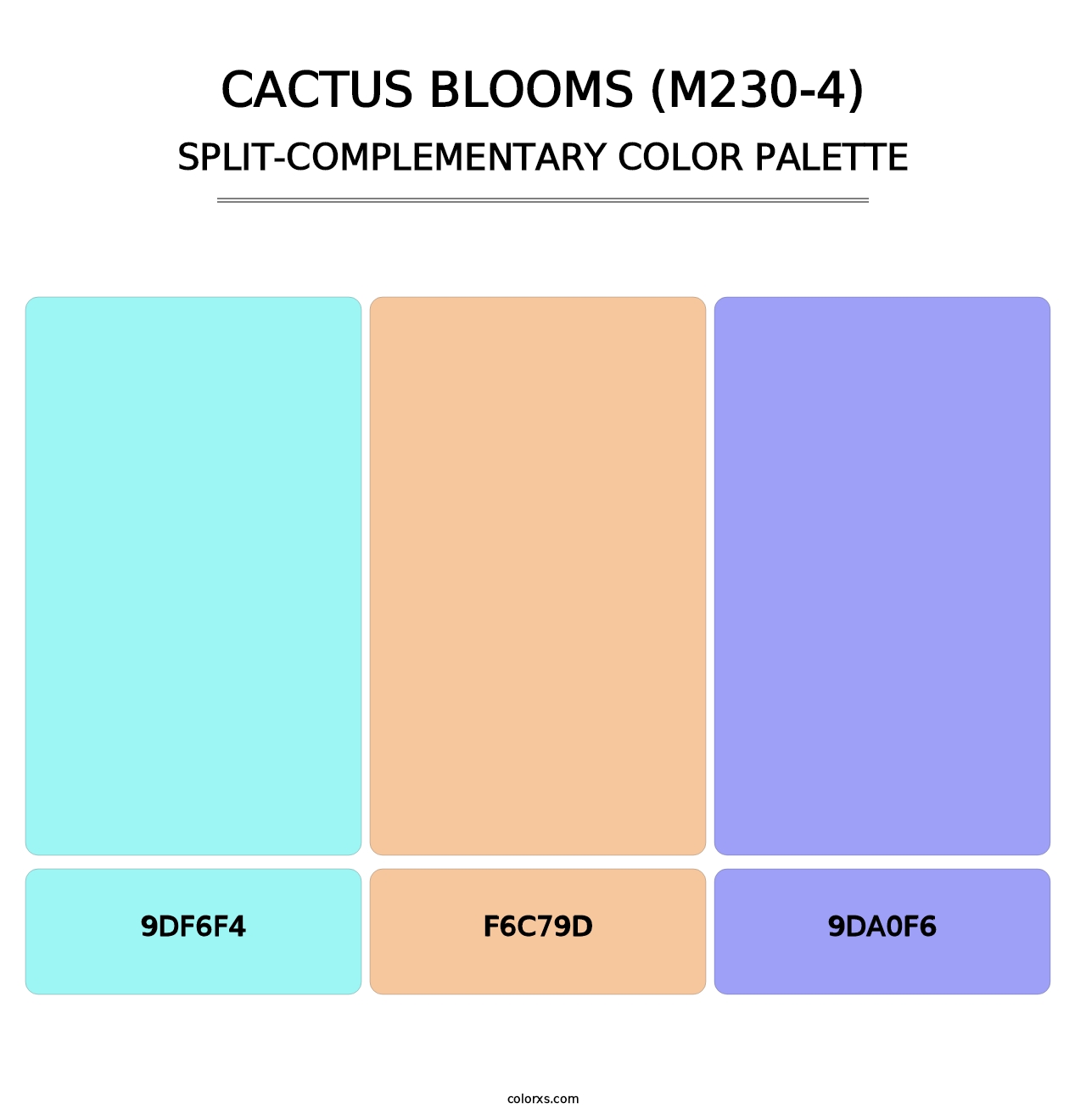 Cactus Blooms (M230-4) - Split-Complementary Color Palette