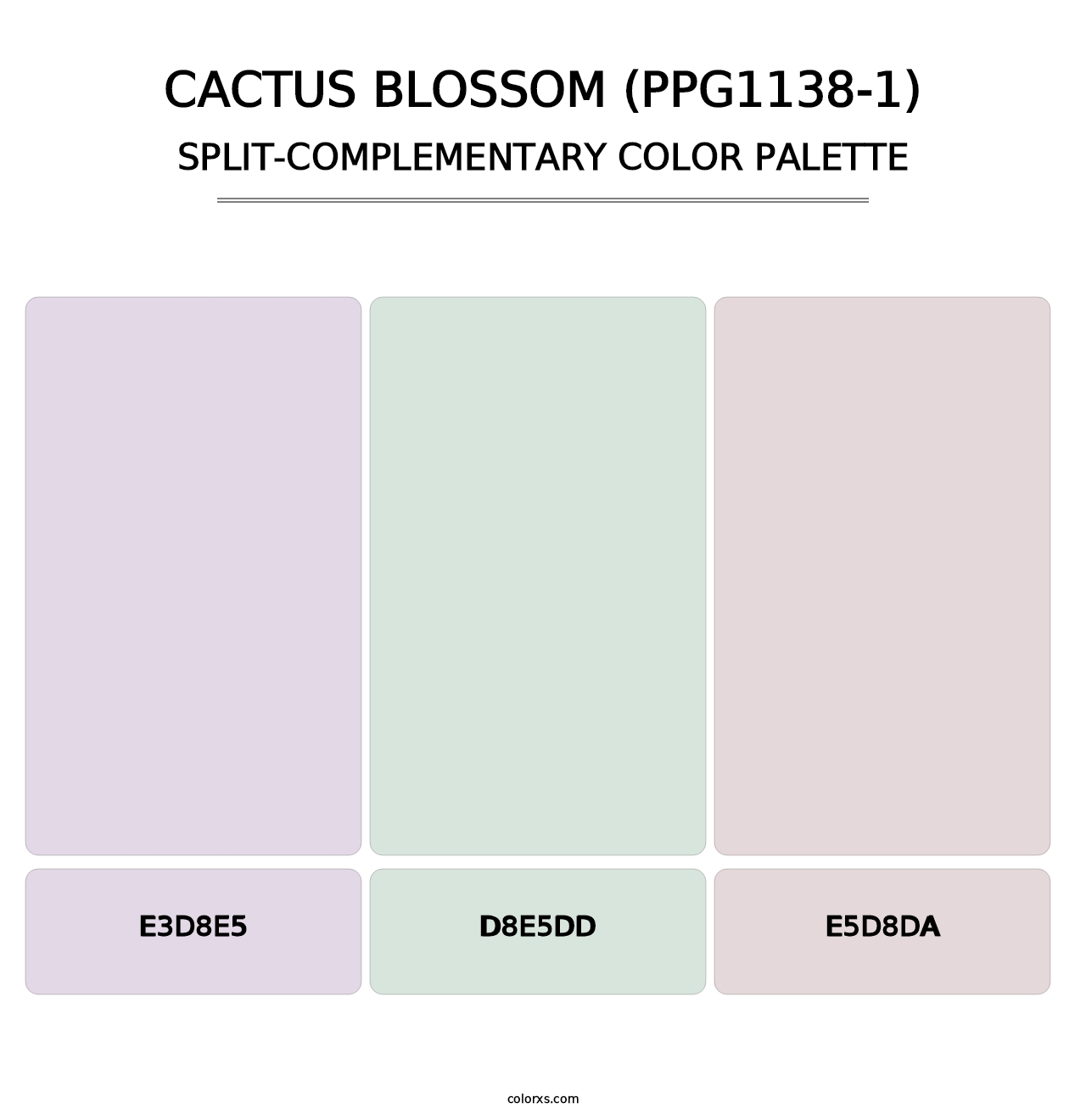 Cactus Blossom (PPG1138-1) - Split-Complementary Color Palette
