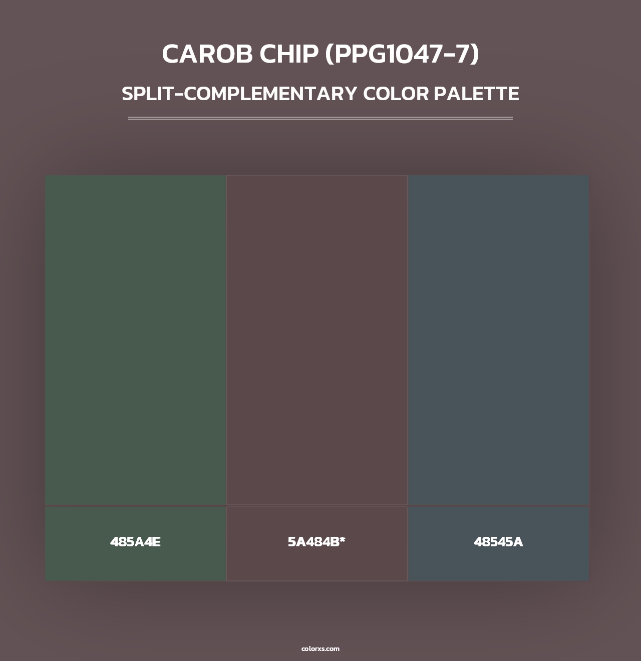 Carob Chip (PPG1047-7) - Split-Complementary Color Palette