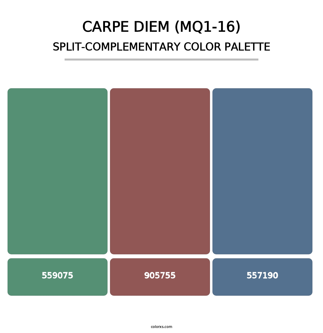 Carpe Diem (MQ1-16) - Split-Complementary Color Palette