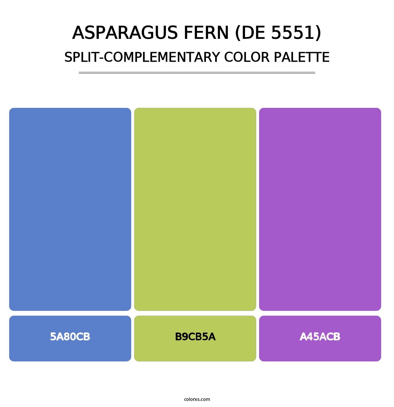 Asparagus Fern (DE 5551) - Split-Complementary Color Palette