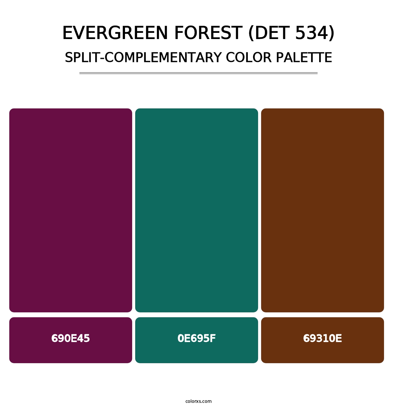 Evergreen Forest (DET 534) - Split-Complementary Color Palette