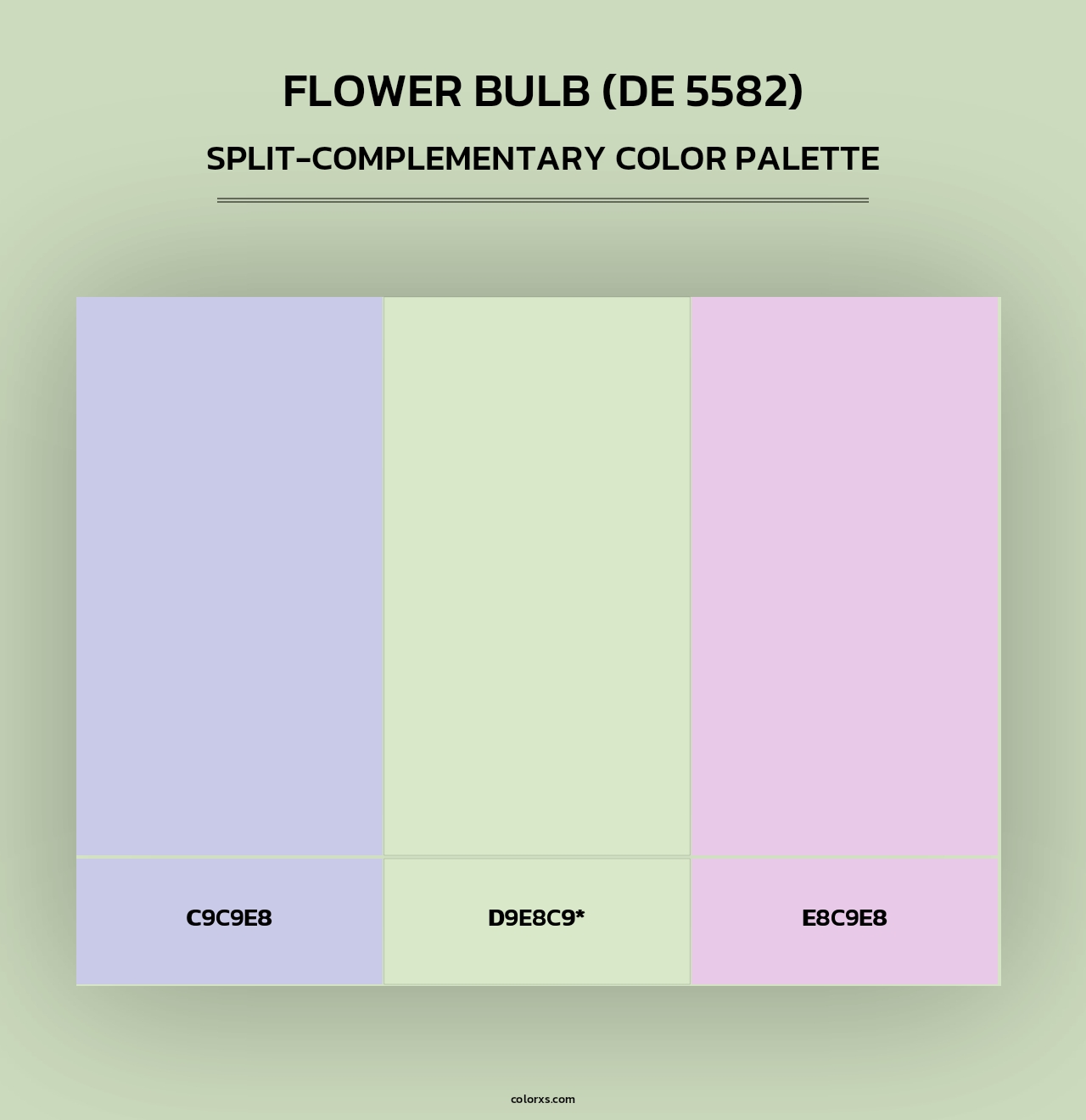 Flower Bulb (DE 5582) - Split-Complementary Color Palette
