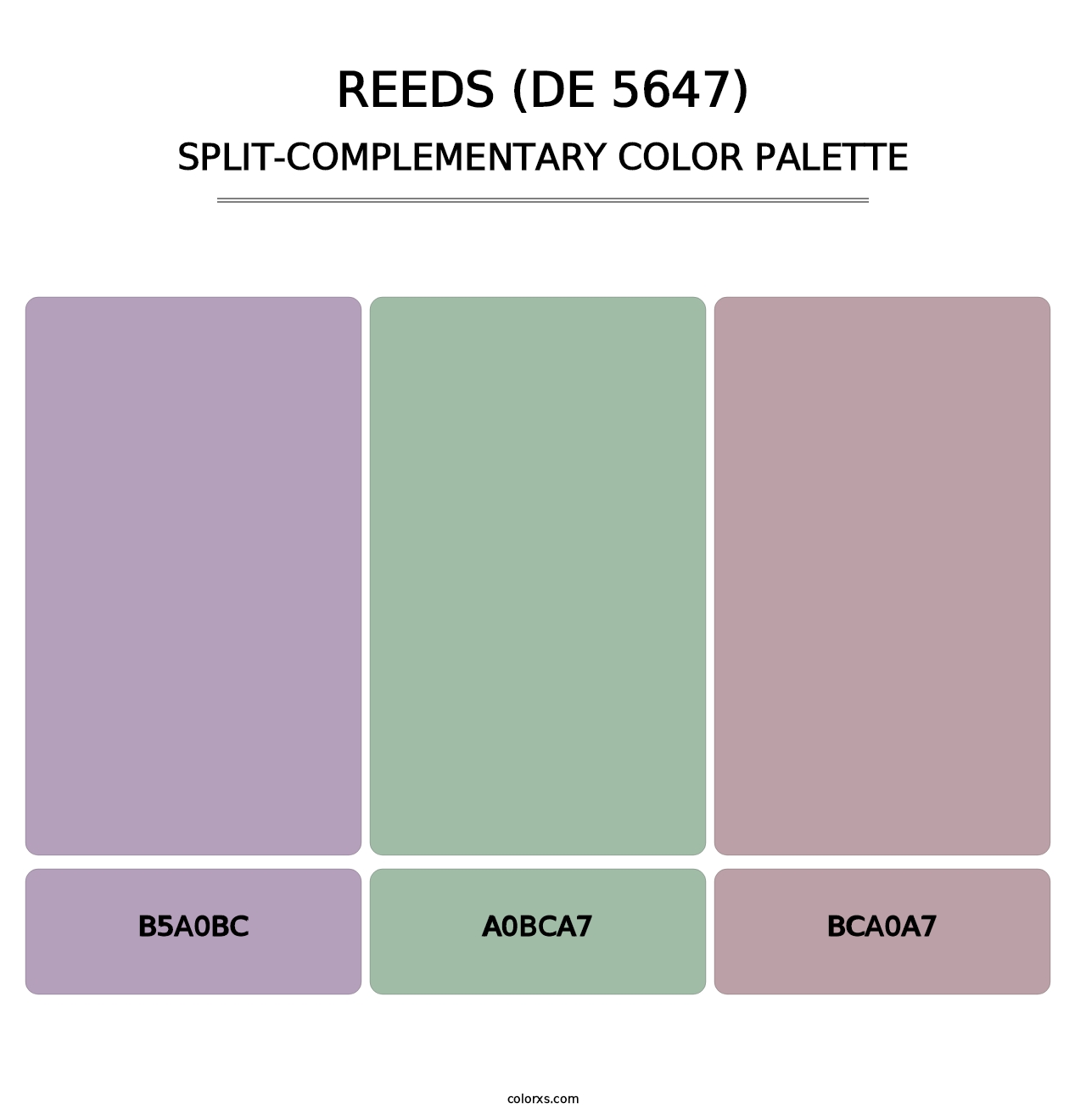 Reeds (DE 5647) - Split-Complementary Color Palette