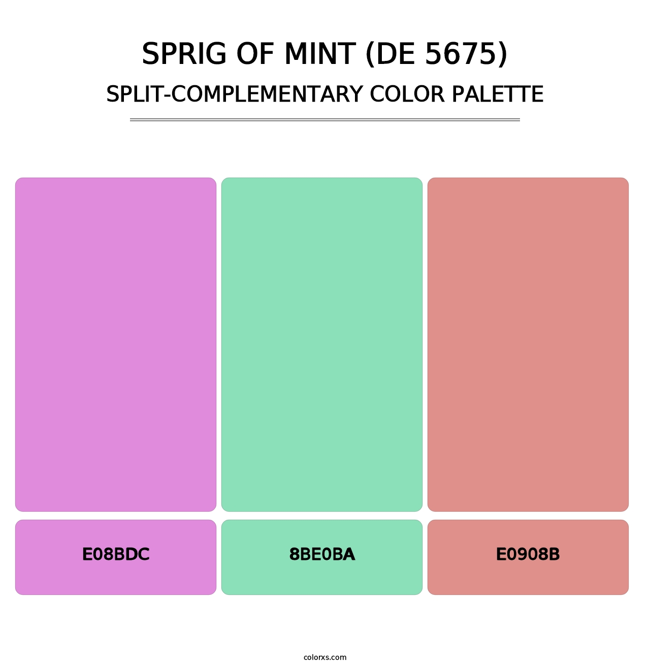 Sprig of Mint (DE 5675) - Split-Complementary Color Palette