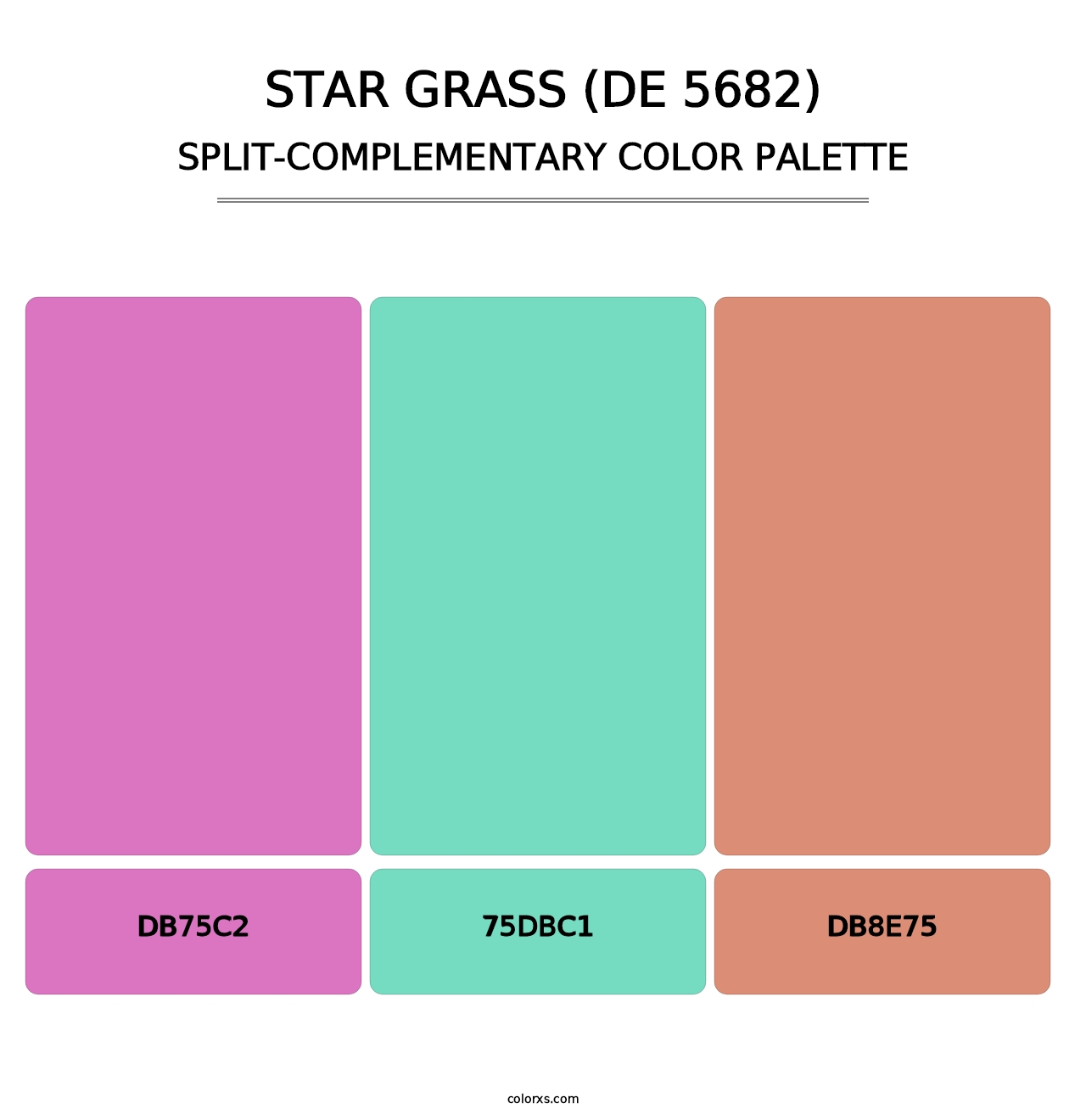 Star Grass (DE 5682) - Split-Complementary Color Palette