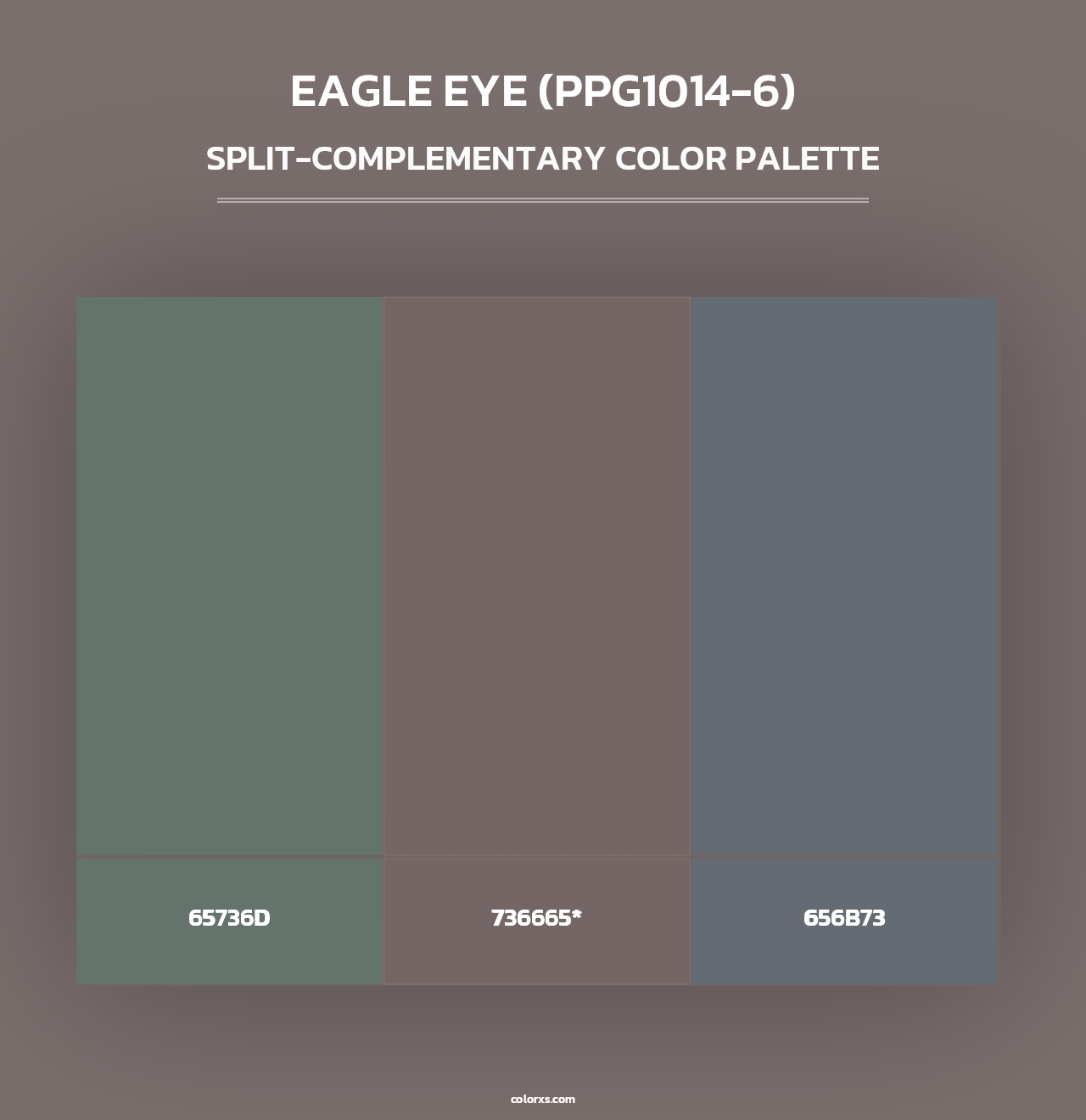 Eagle Eye (PPG1014-6) - Split-Complementary Color Palette
