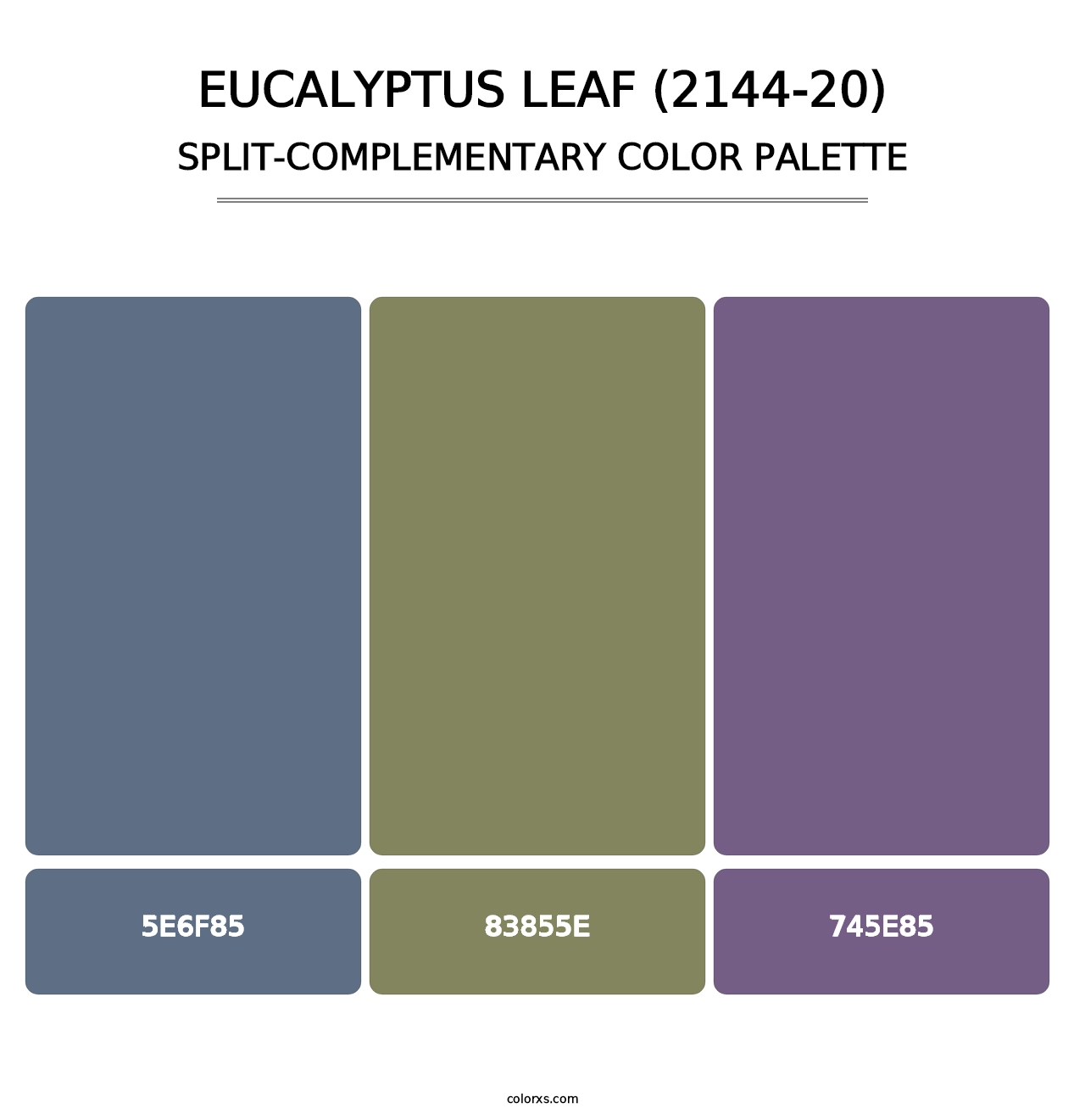 Eucalyptus Leaf (2144-20) - Split-Complementary Color Palette