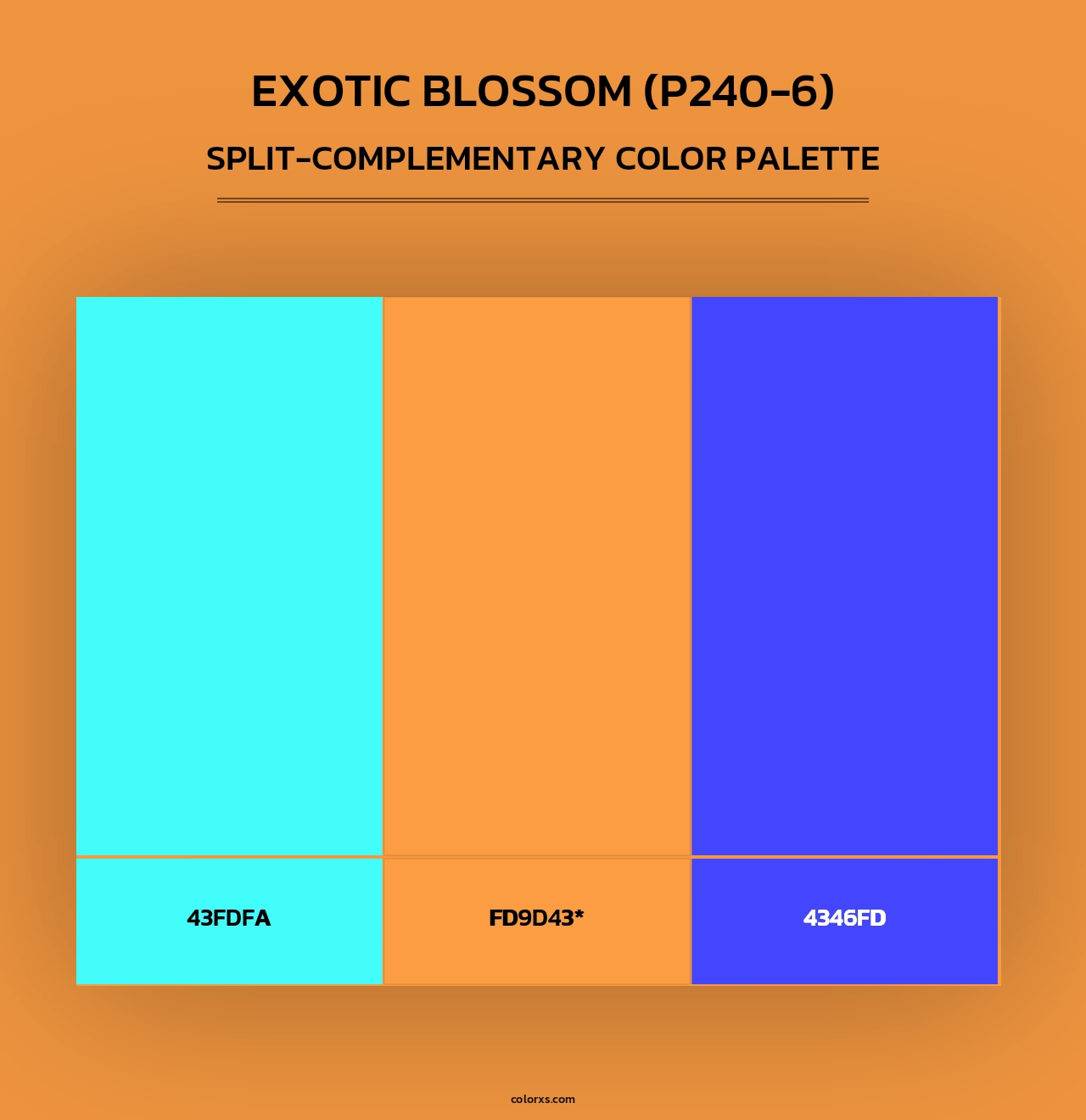 Exotic Blossom (P240-6) - Split-Complementary Color Palette