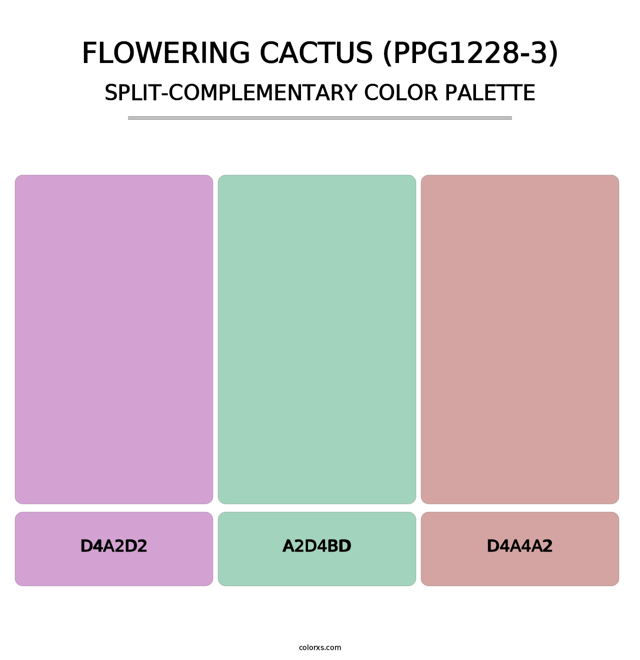 Flowering Cactus (PPG1228-3) - Split-Complementary Color Palette