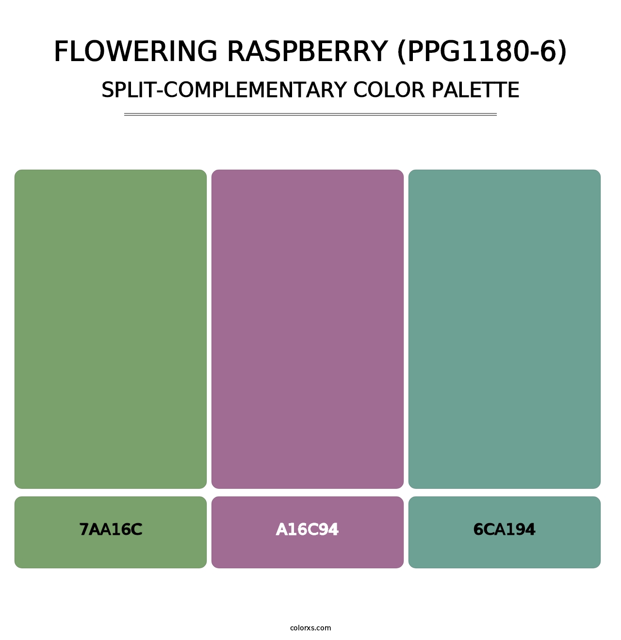 Flowering Raspberry (PPG1180-6) - Split-Complementary Color Palette