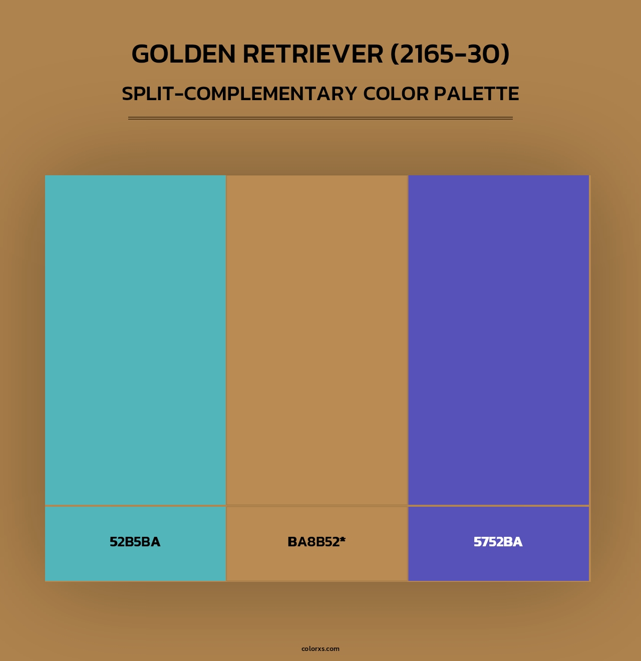 Golden Retriever (2165-30) - Split-Complementary Color Palette