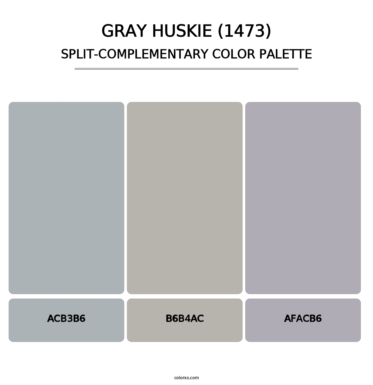 Gray Huskie (1473) - Split-Complementary Color Palette