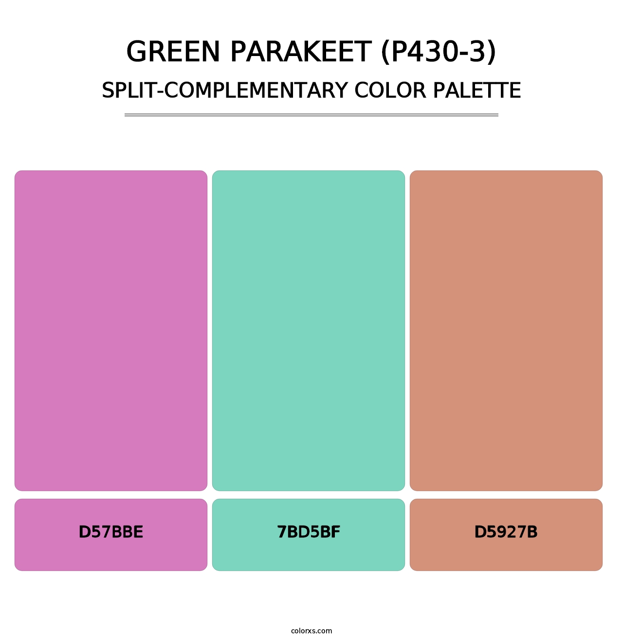 Green Parakeet (P430-3) - Split-Complementary Color Palette
