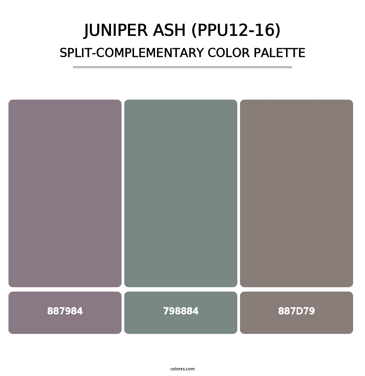 Juniper Ash (PPU12-16) - Split-Complementary Color Palette