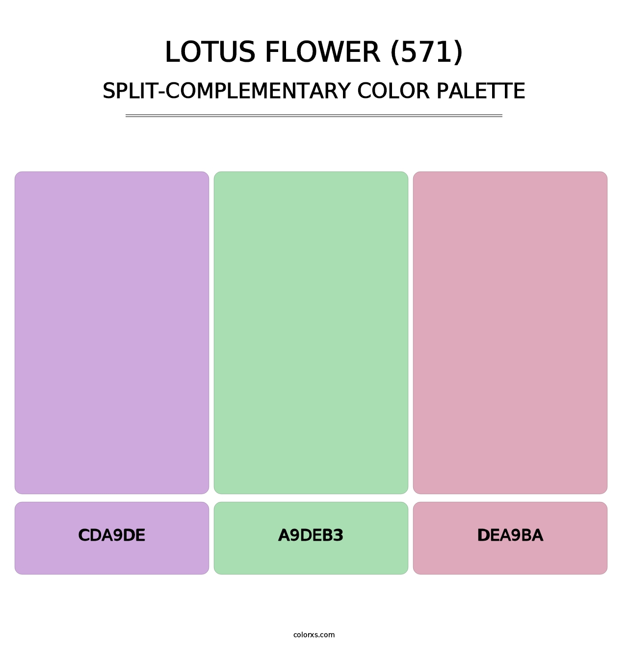 Lotus Flower (571) - Split-Complementary Color Palette